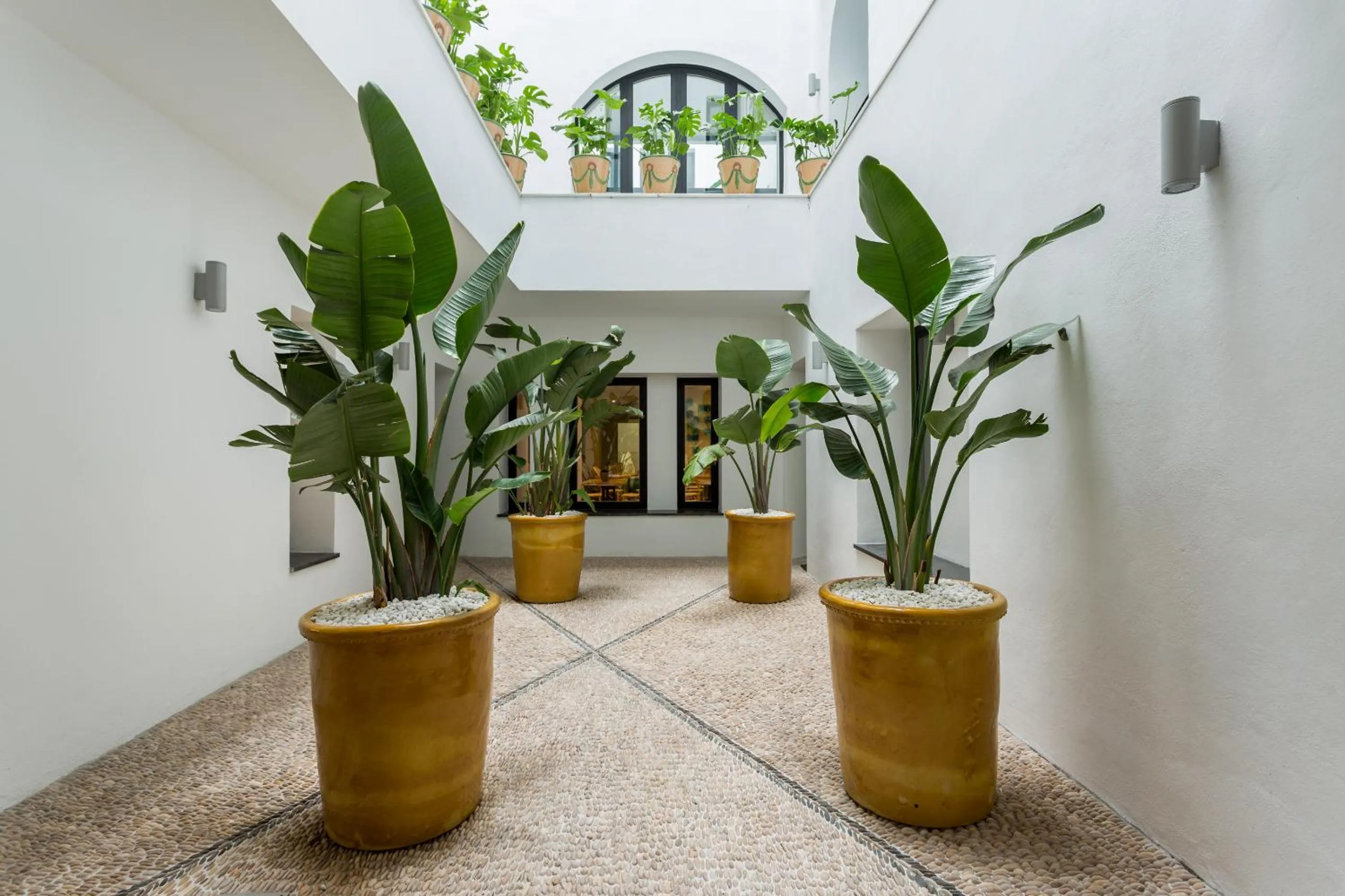 Garden in Room Mate Collection Valeria, Málaga