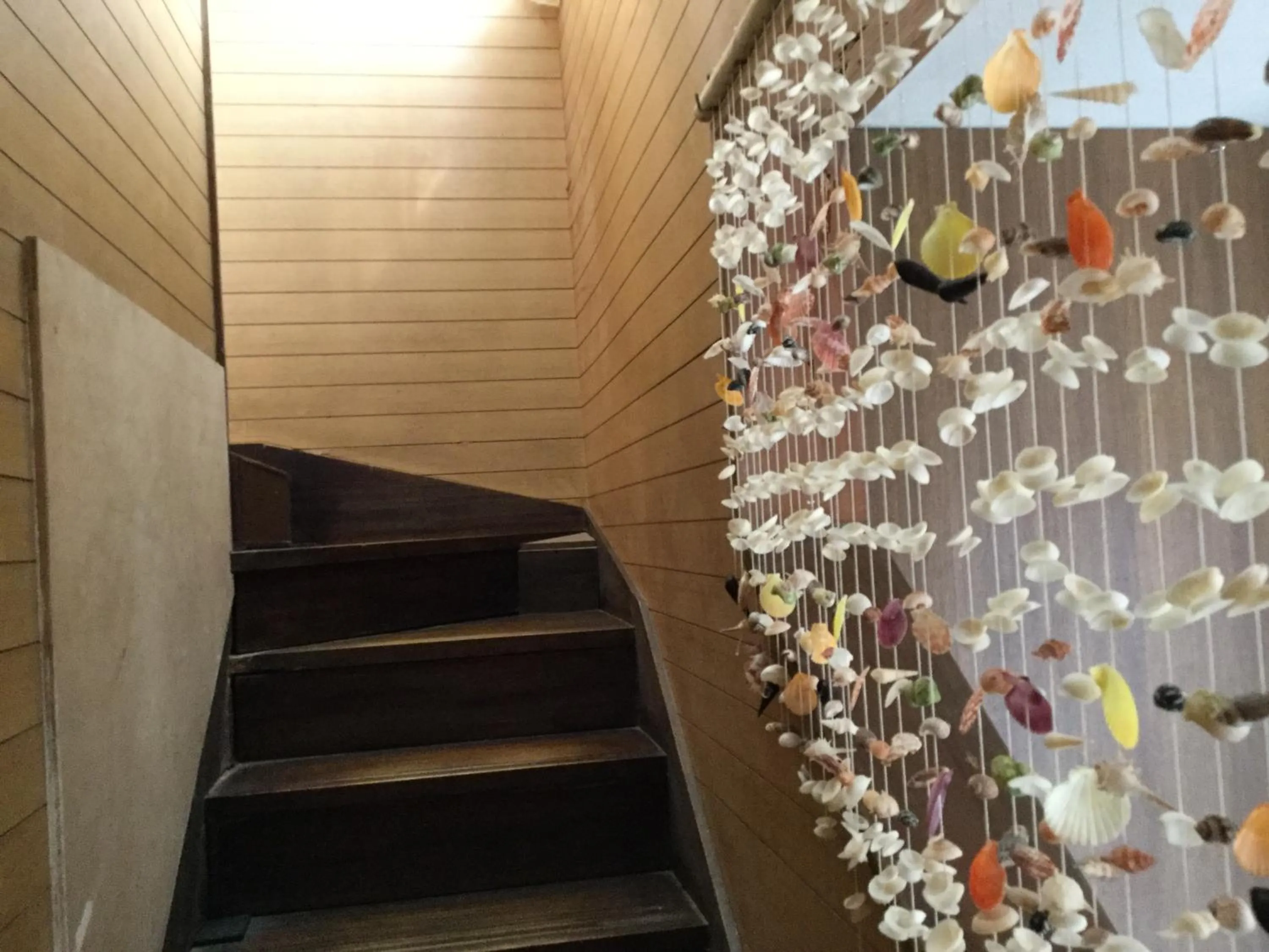 Area and facilities in Minshuku Zabaru