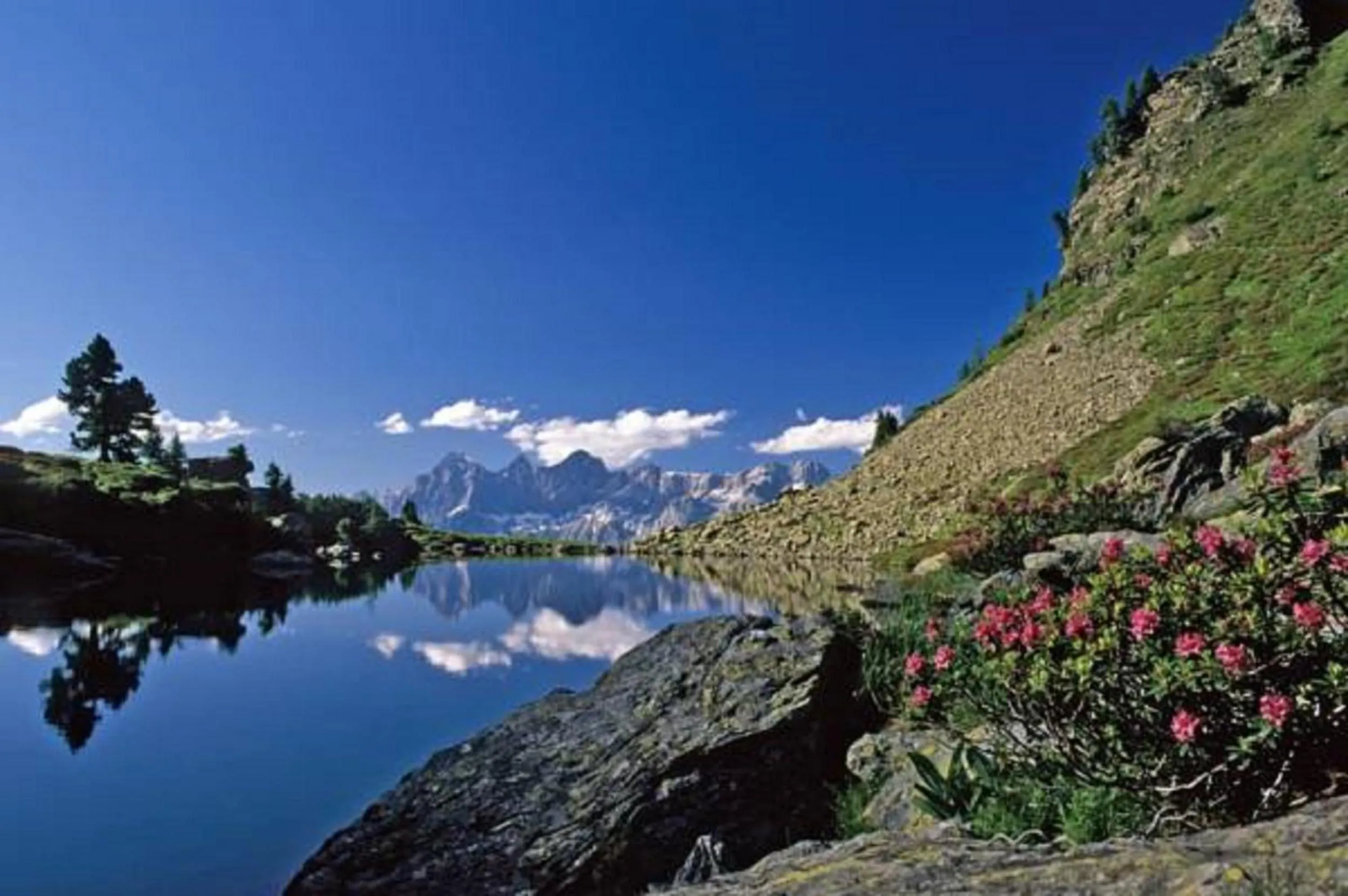 Summer in Dachsteinblick