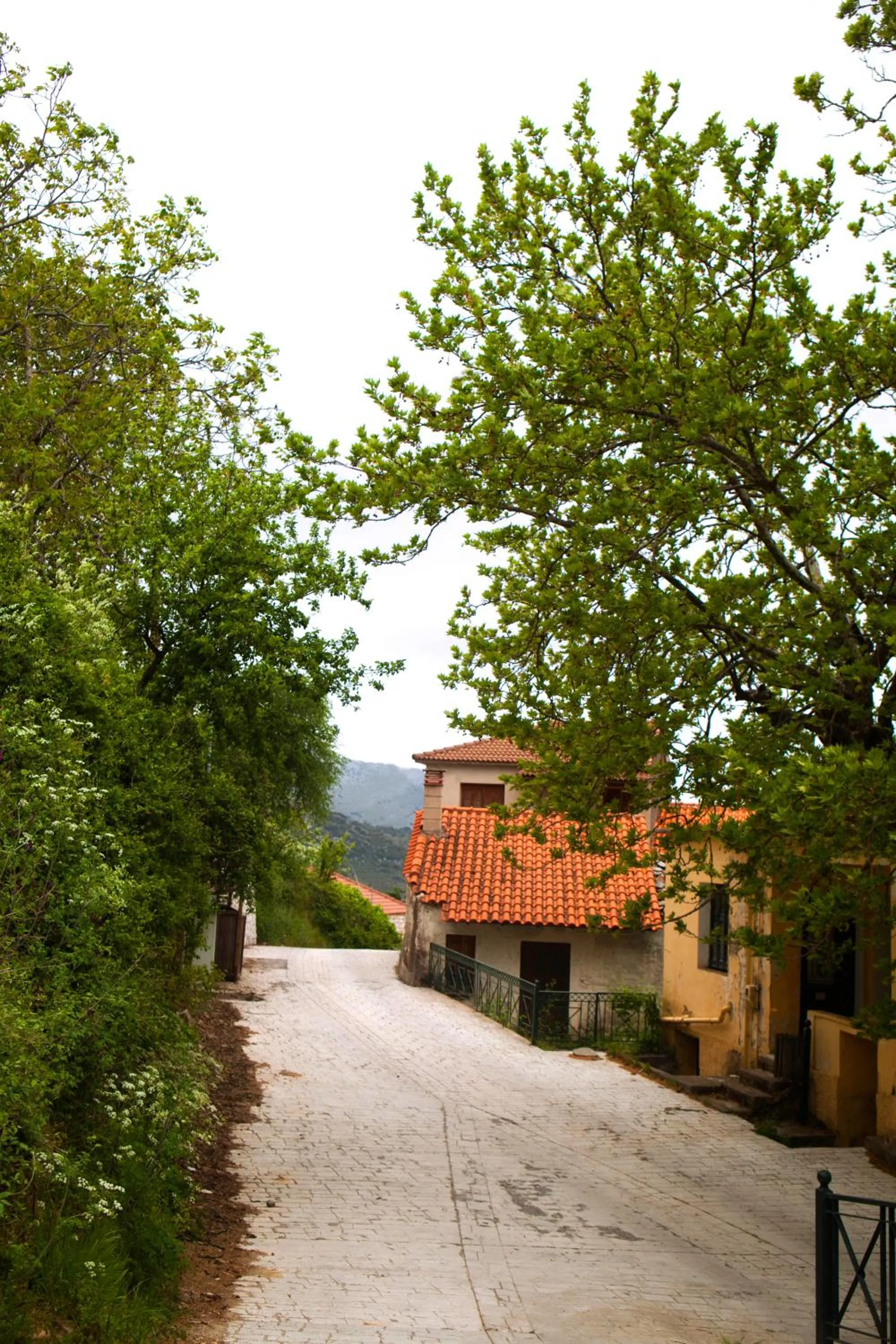 Neighbourhood, Facade/Entrance in 1821 En Dolianis