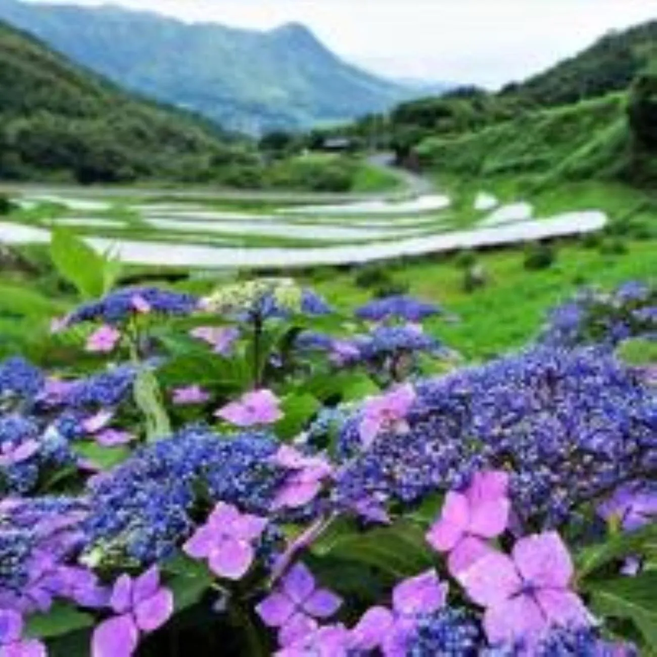 Nearby landmark in Vessel Hotel Kanda Kitakyushu Airport