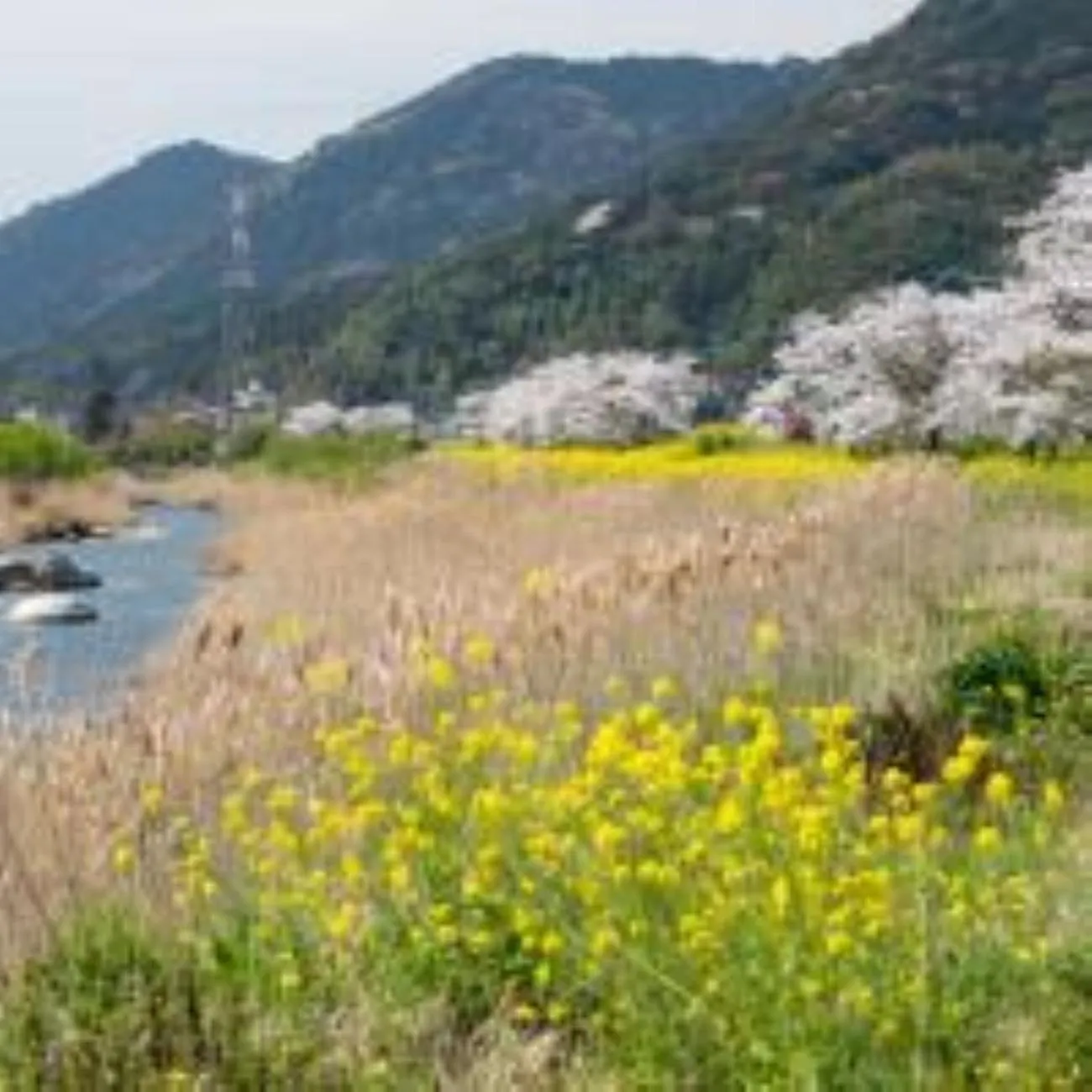 Nearby landmark in Vessel Hotel Kanda Kitakyushu Airport