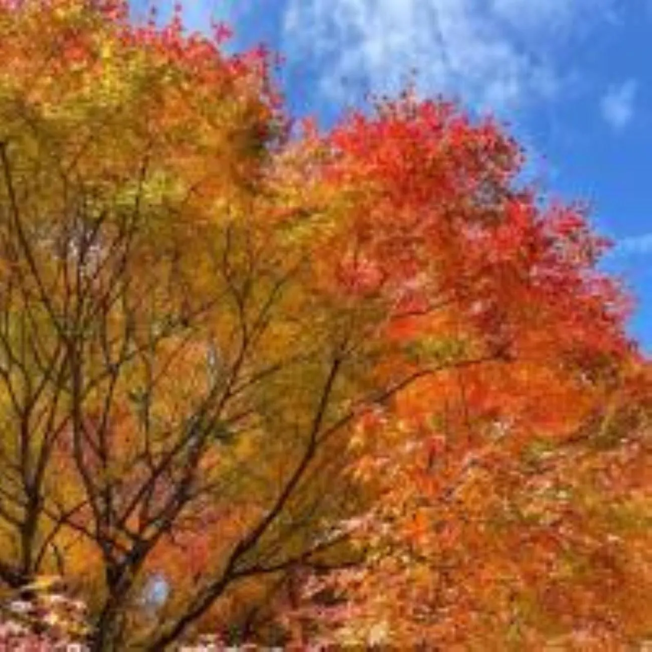 Nearby landmark in Vessel Hotel Kanda Kitakyushu Airport
