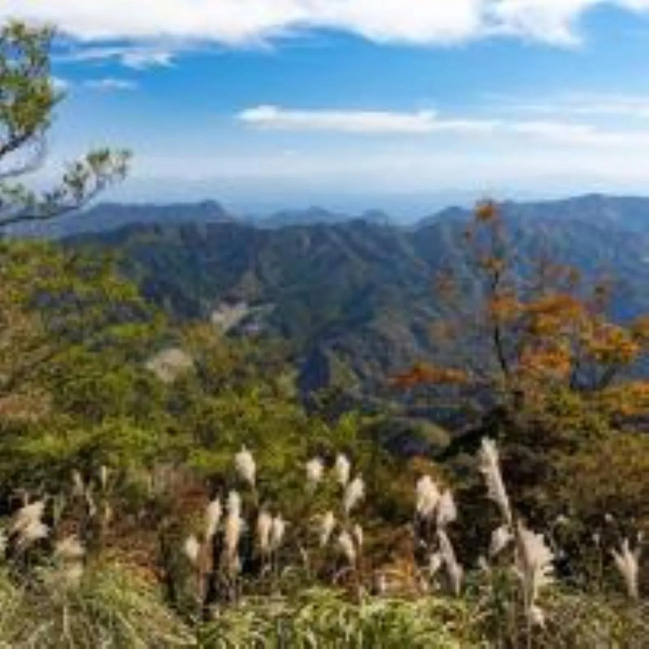 Nearby landmark in Vessel Hotel Kanda Kitakyushu Airport