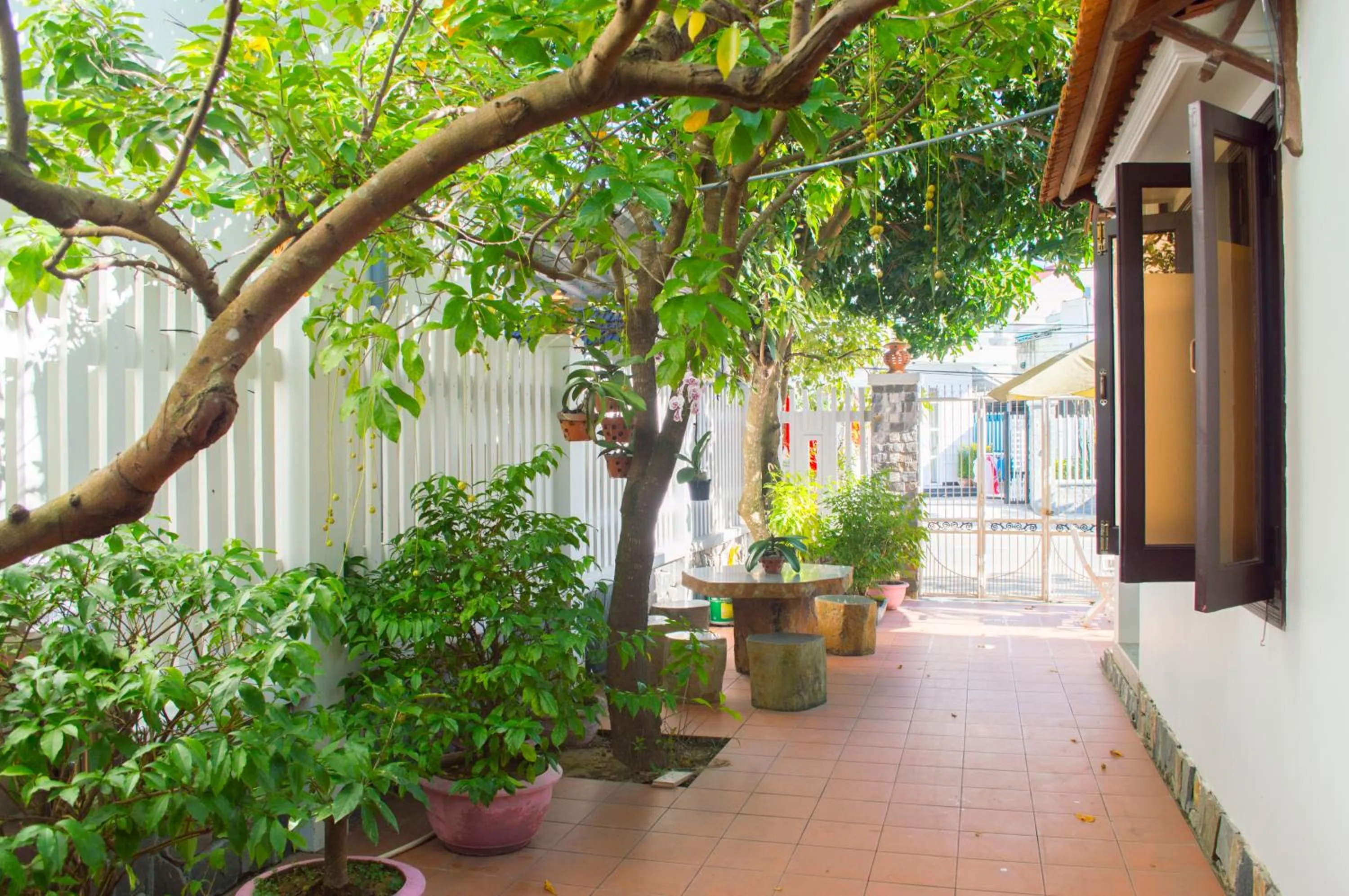 Garden in HaLo HomeStay