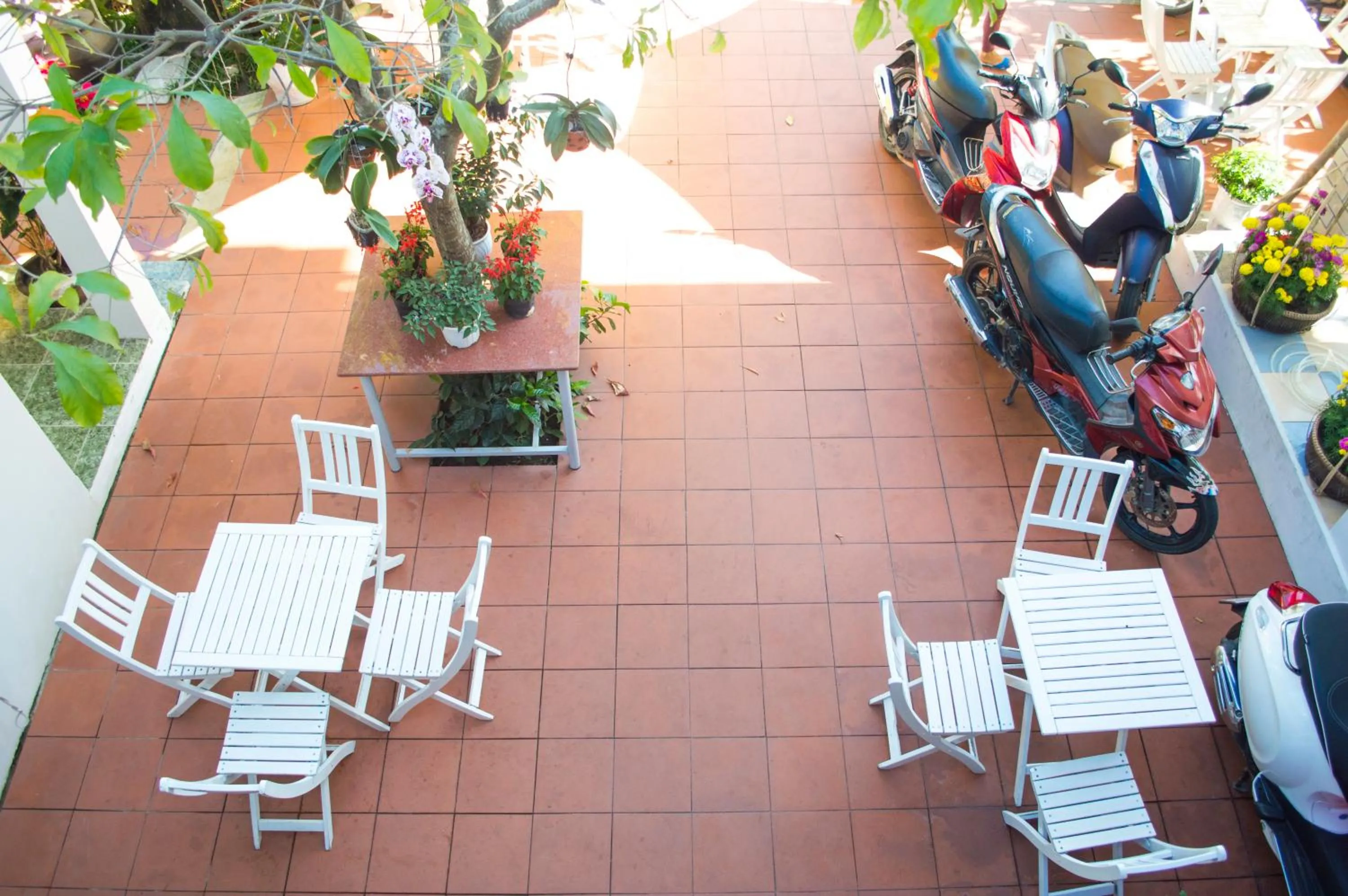 Garden in HaLo HomeStay