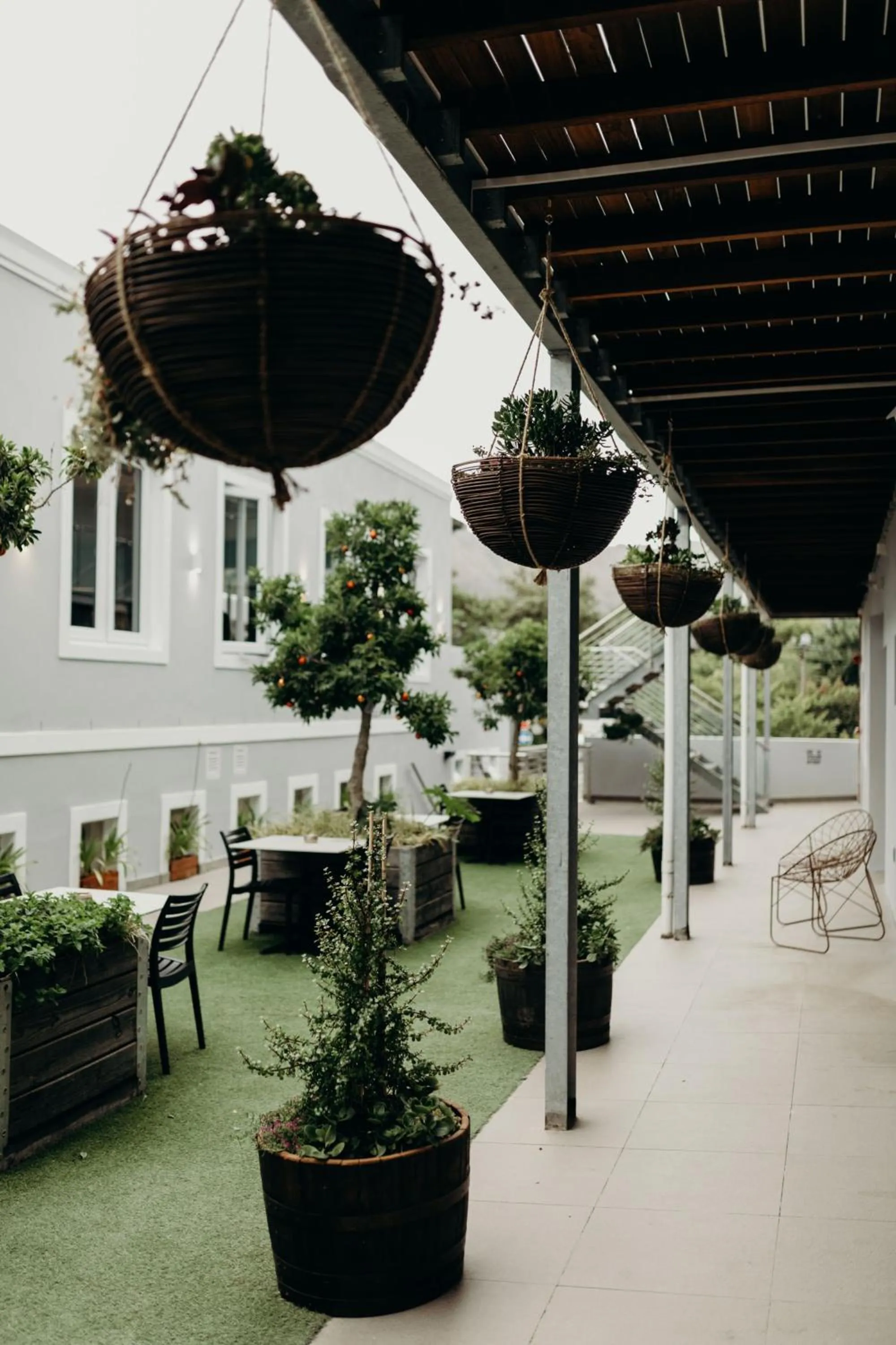 Patio in Franschhoek Boutique Hotel - Lion Roars Hotels & Lodges