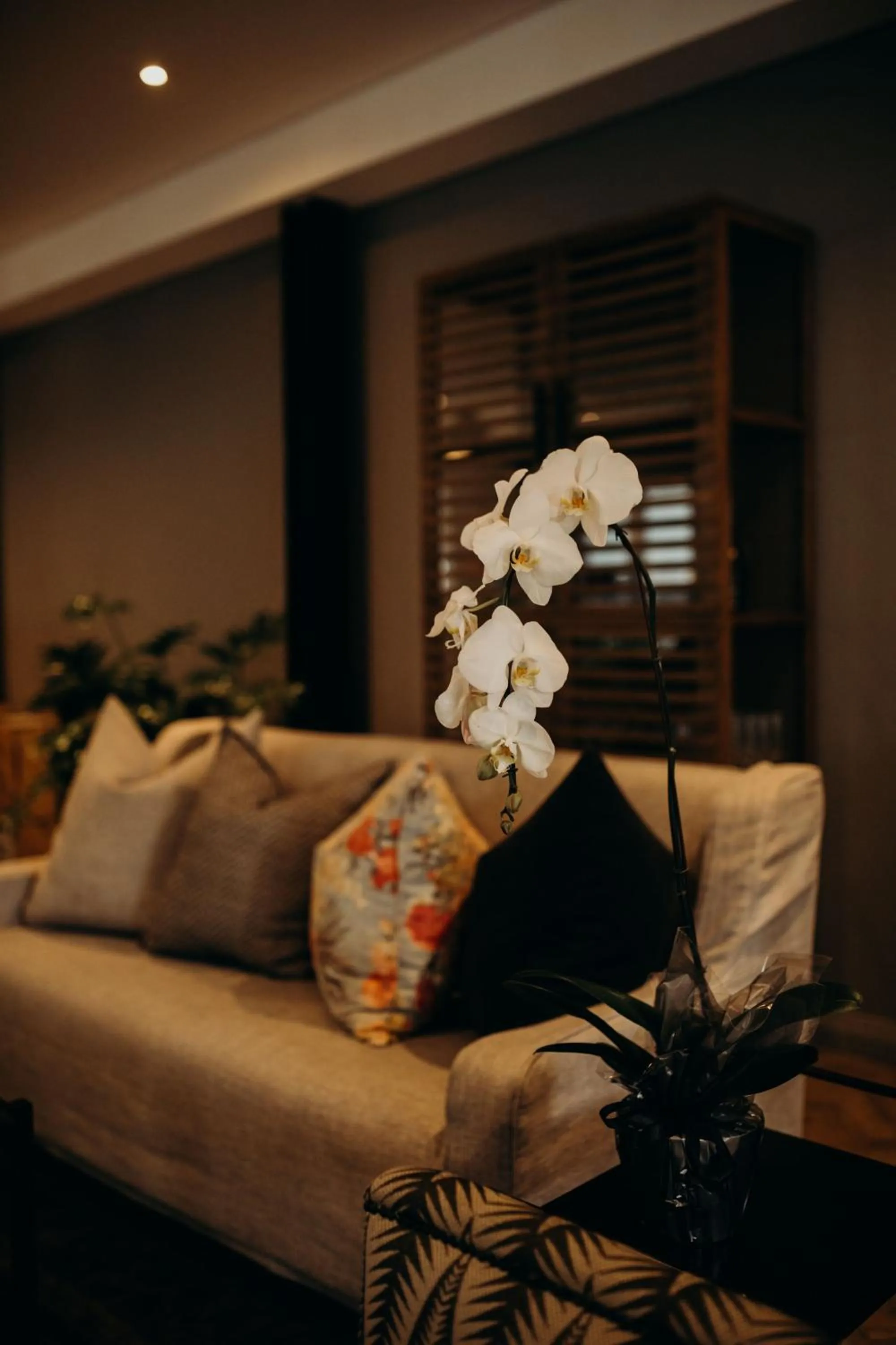 Living room in Franschhoek Boutique Hotel - Lion Roars Hotels & Lodges