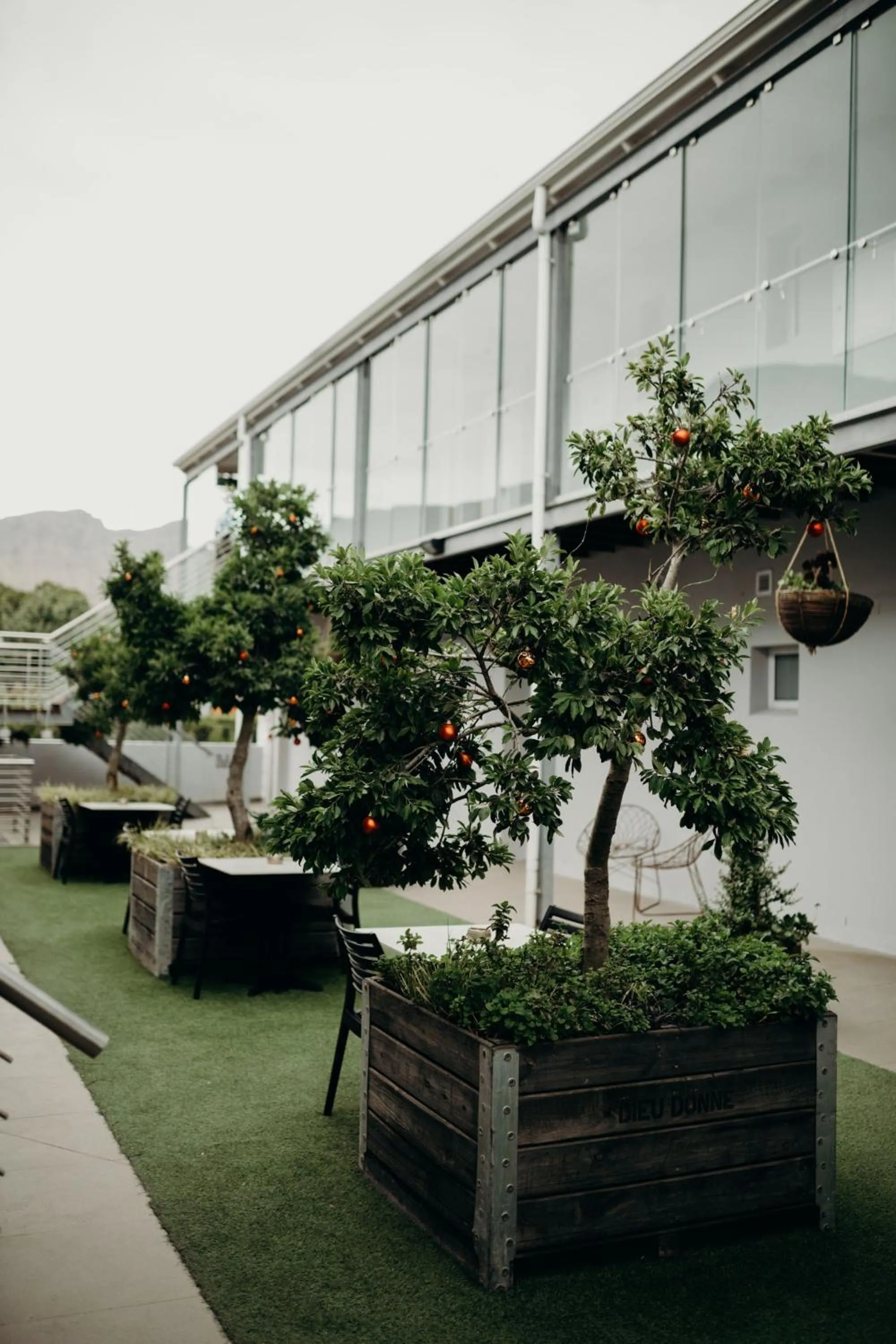 Patio in Franschhoek Boutique Hotel - Lion Roars Hotels & Lodges