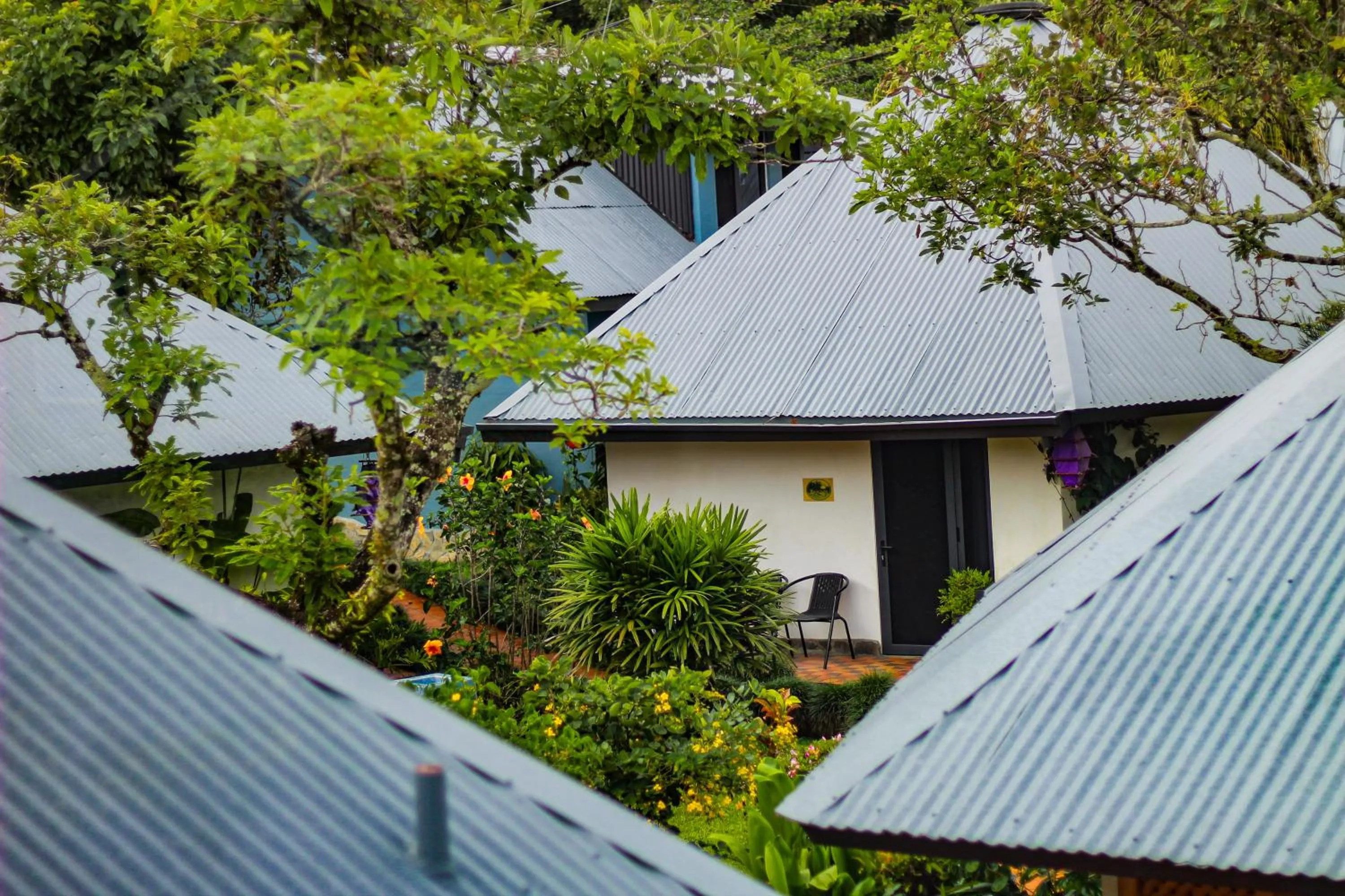 Garden in Hotel Isla Verde