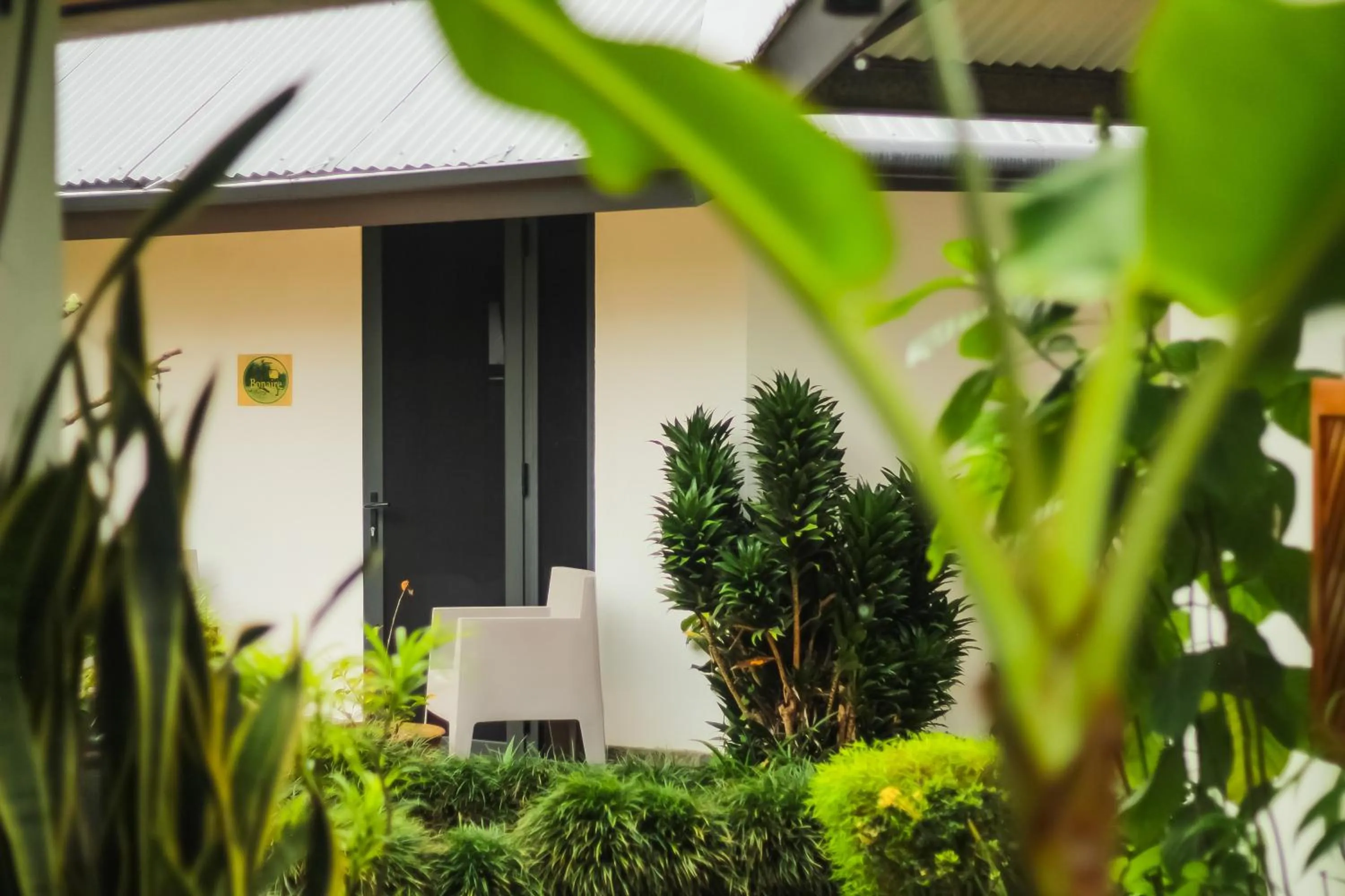 Day in Hotel Isla Verde