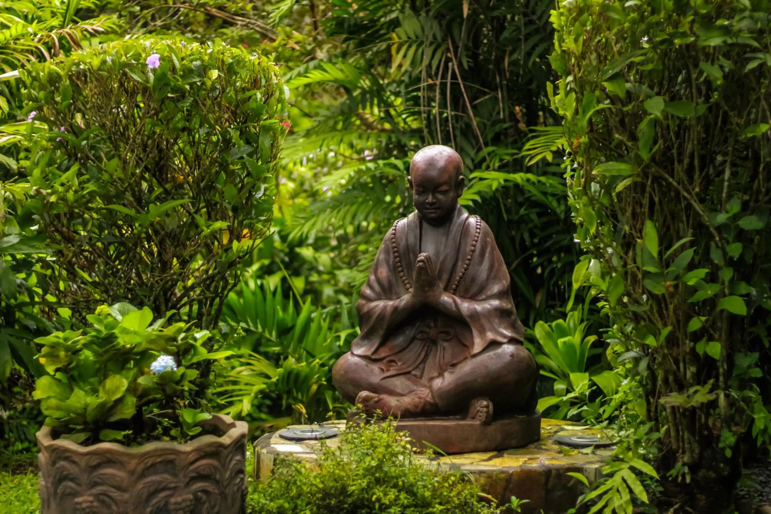 Natural landscape in Hotel Isla Verde