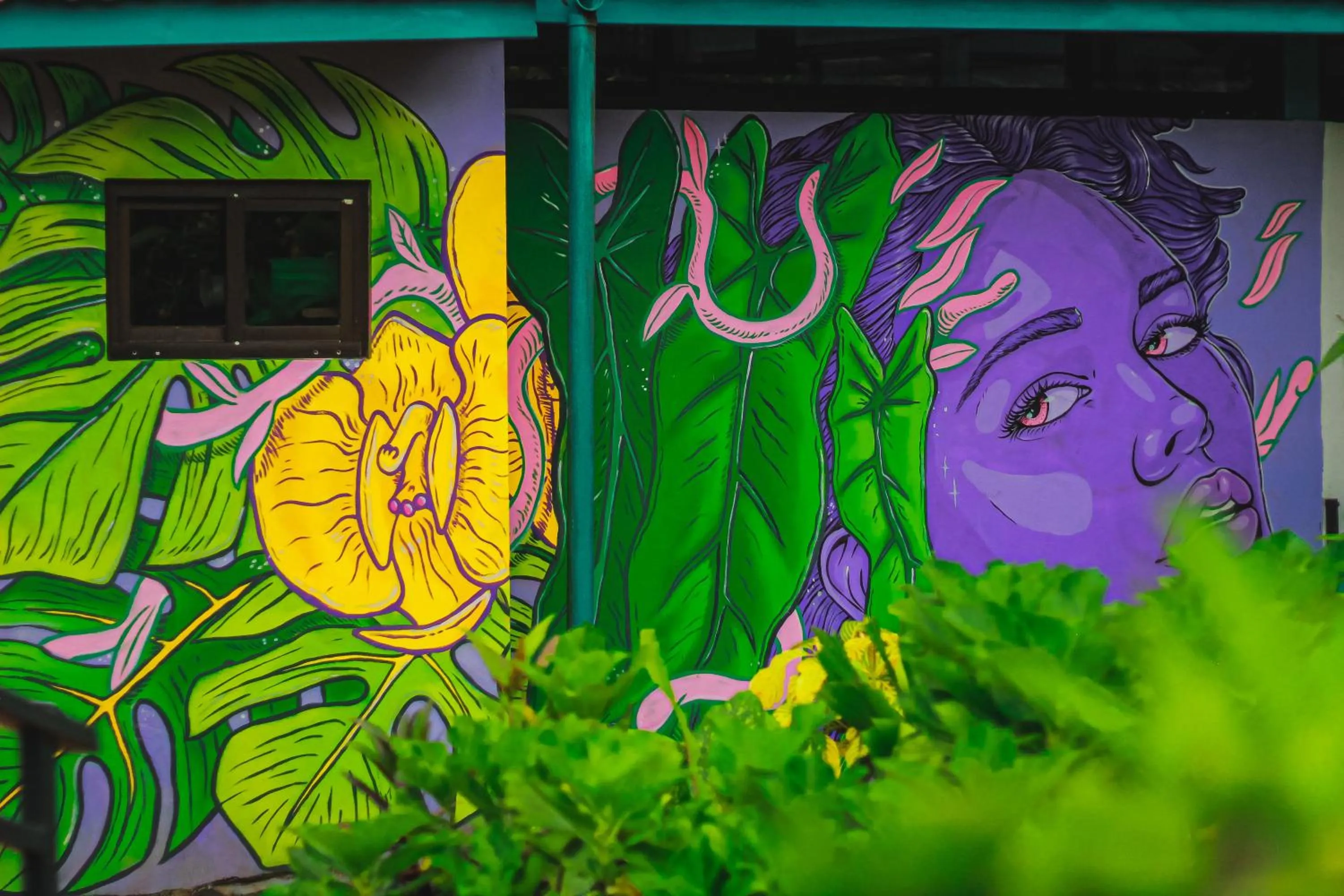 Garden in Hotel Isla Verde