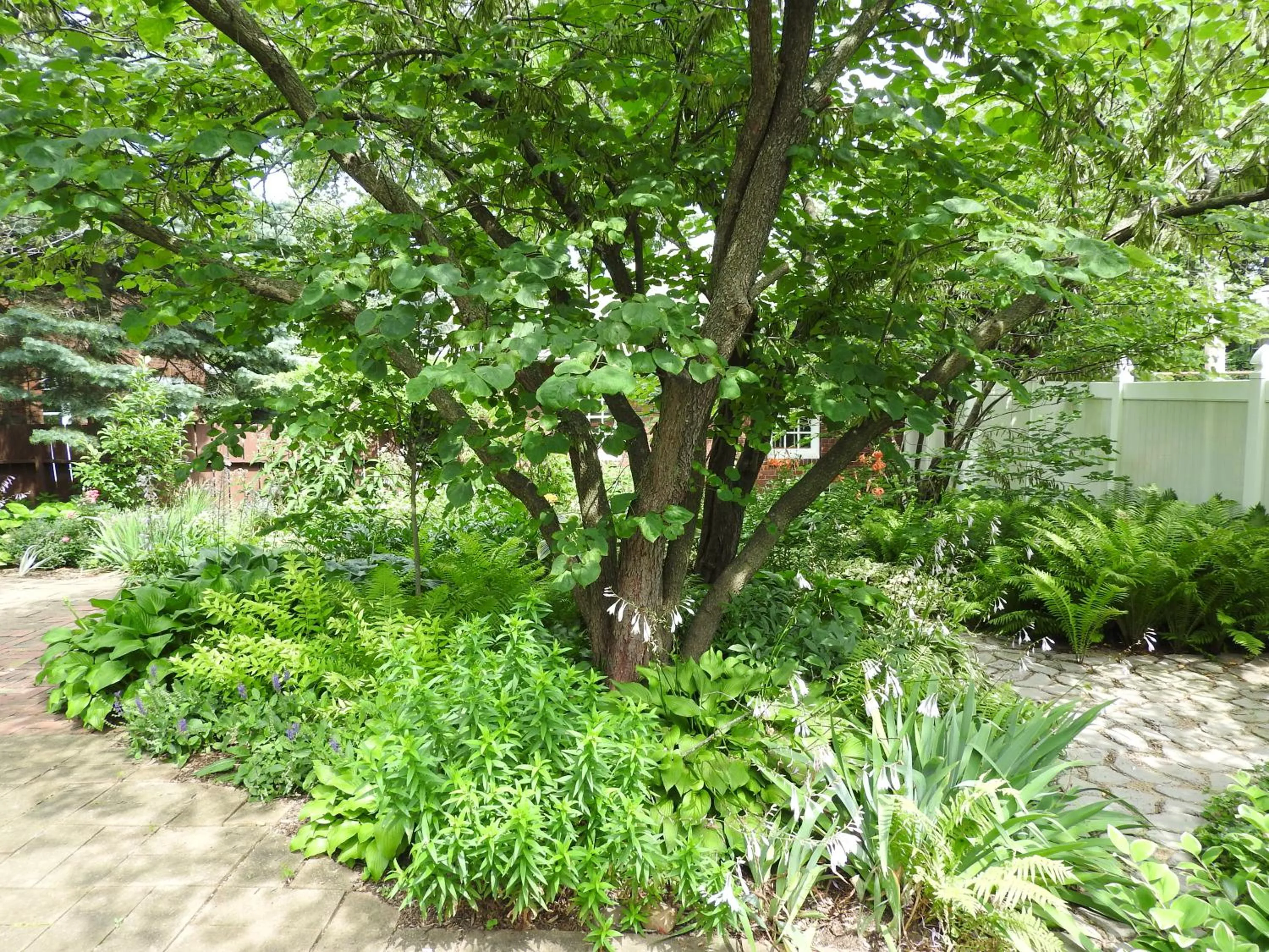 Garden in Champaign Garden Inn