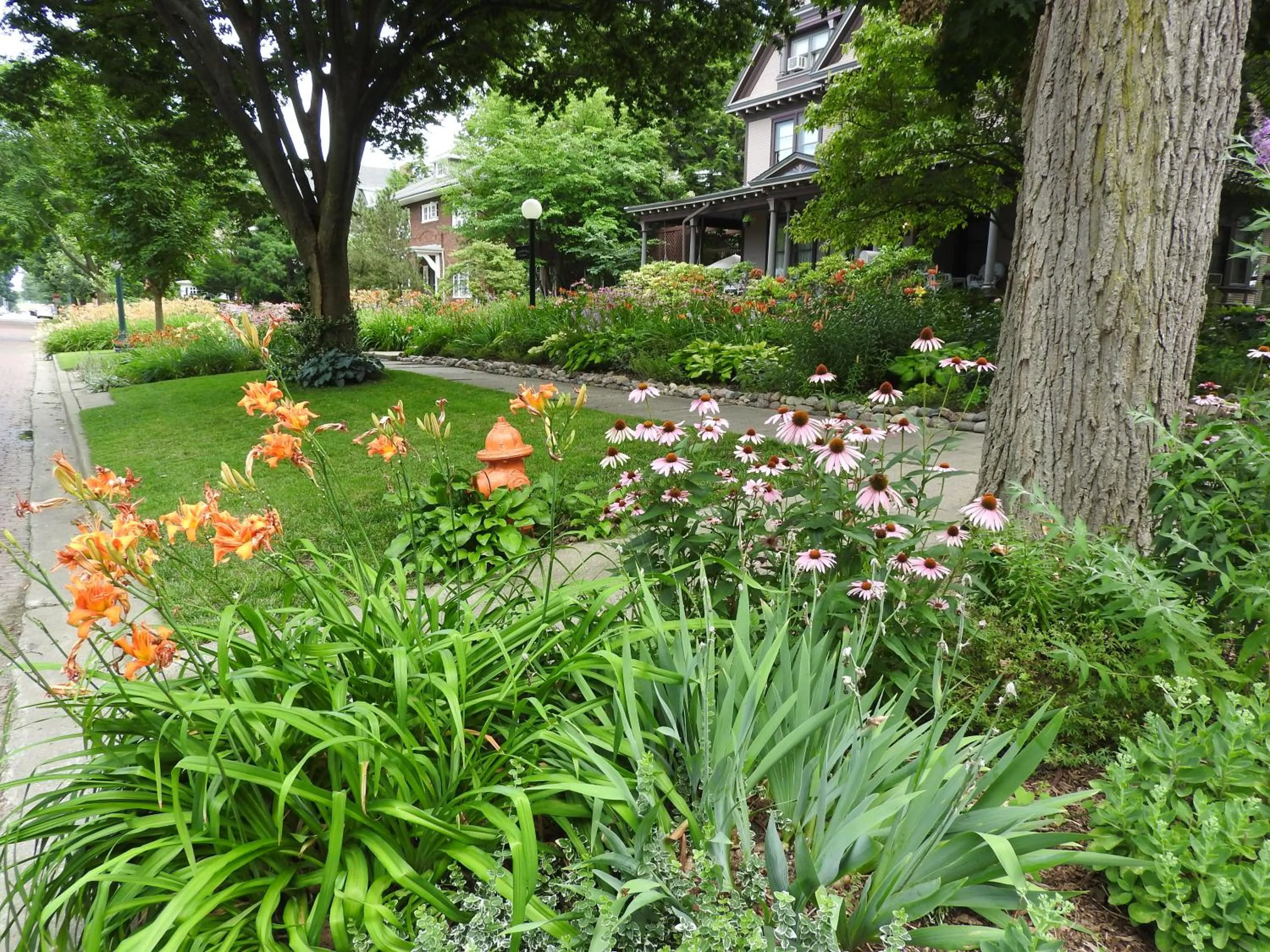 Garden in Champaign Garden Inn