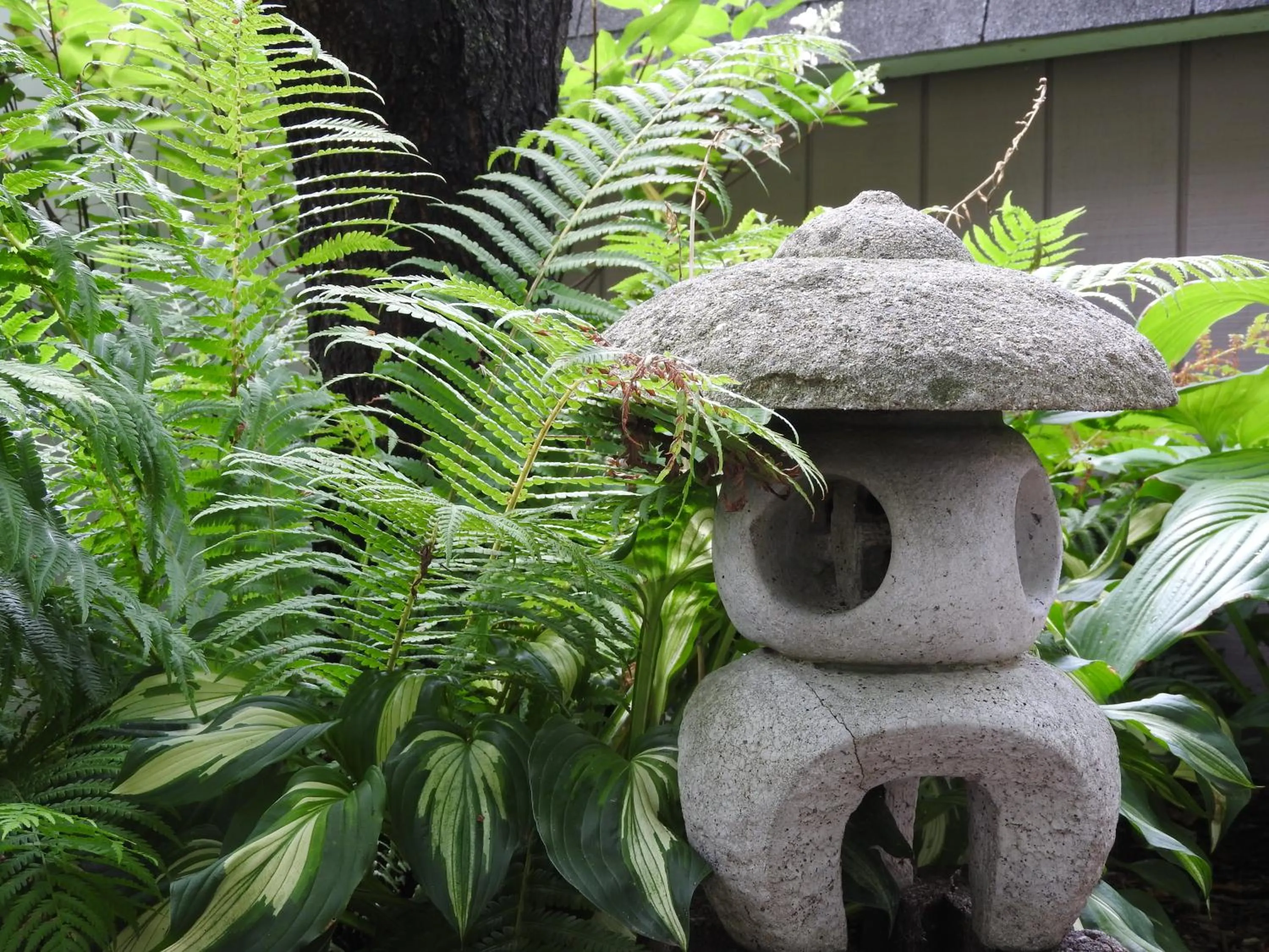 Garden in Champaign Garden Inn