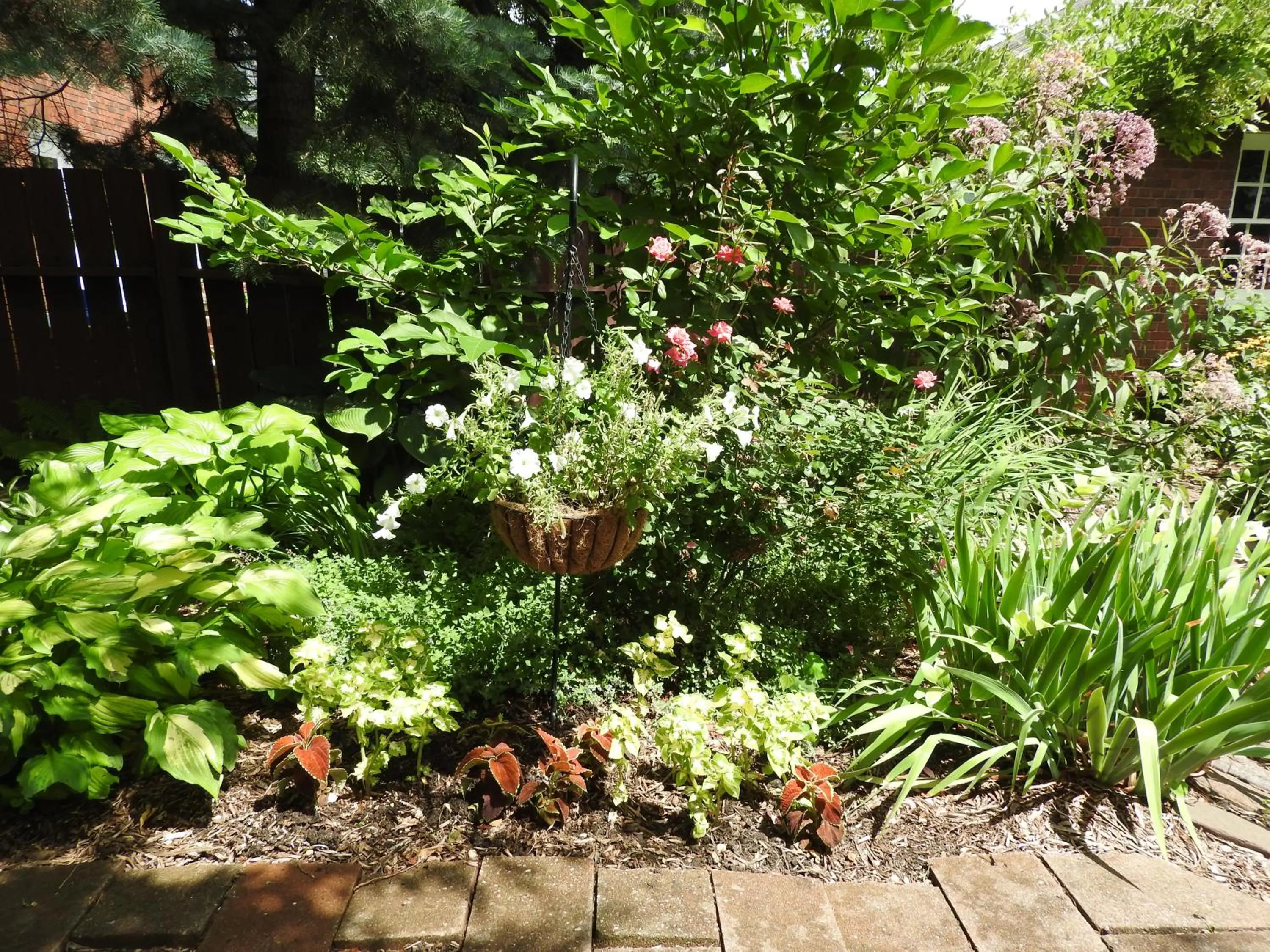 Garden in Champaign Garden Inn