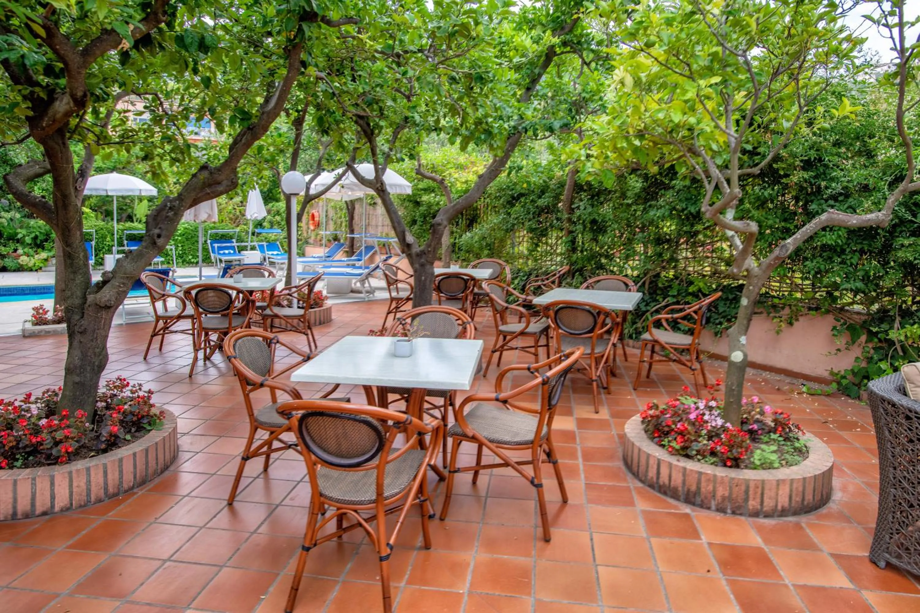 Patio in Boutique Hotel Regina