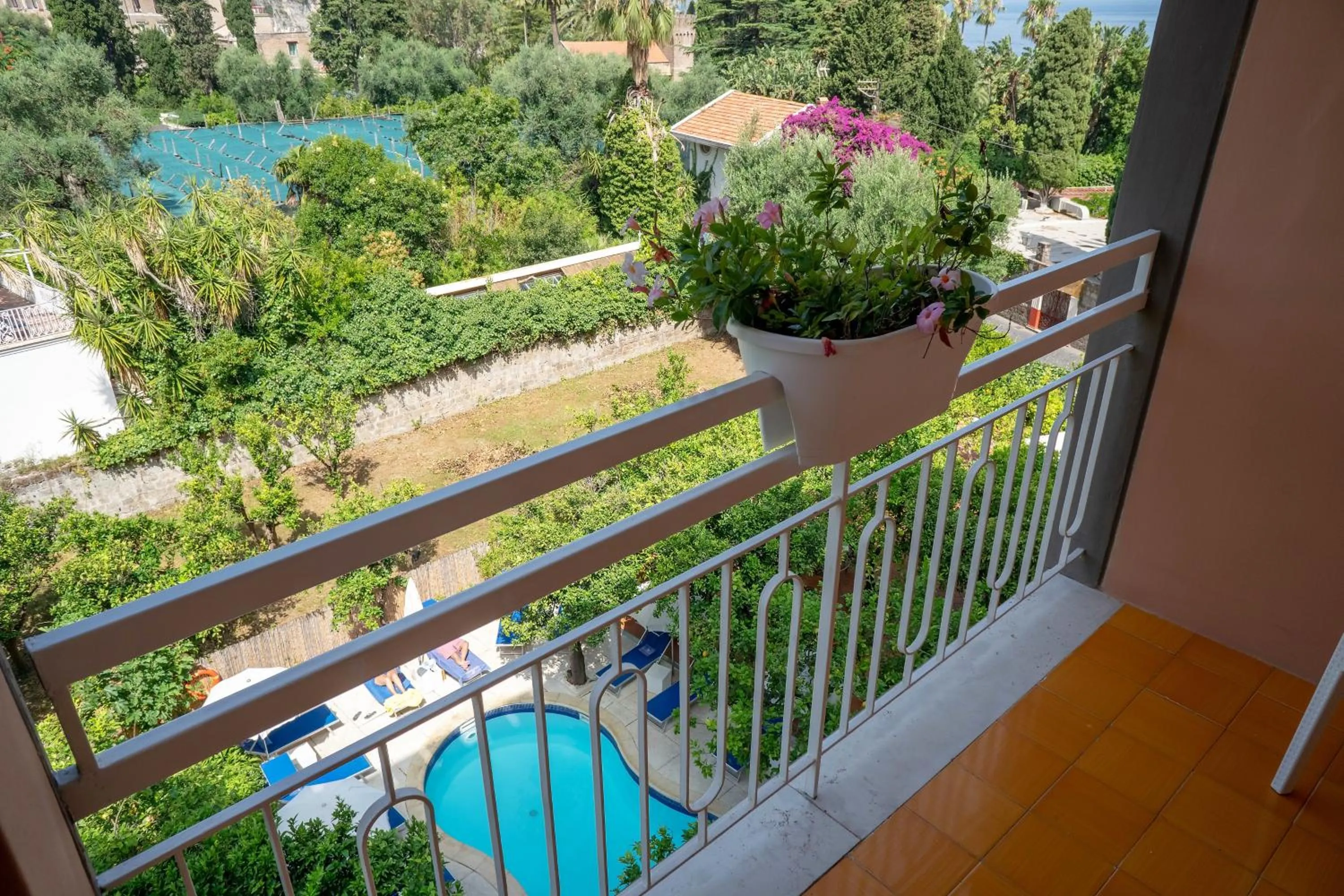 Balcony/Terrace in Boutique Hotel Regina