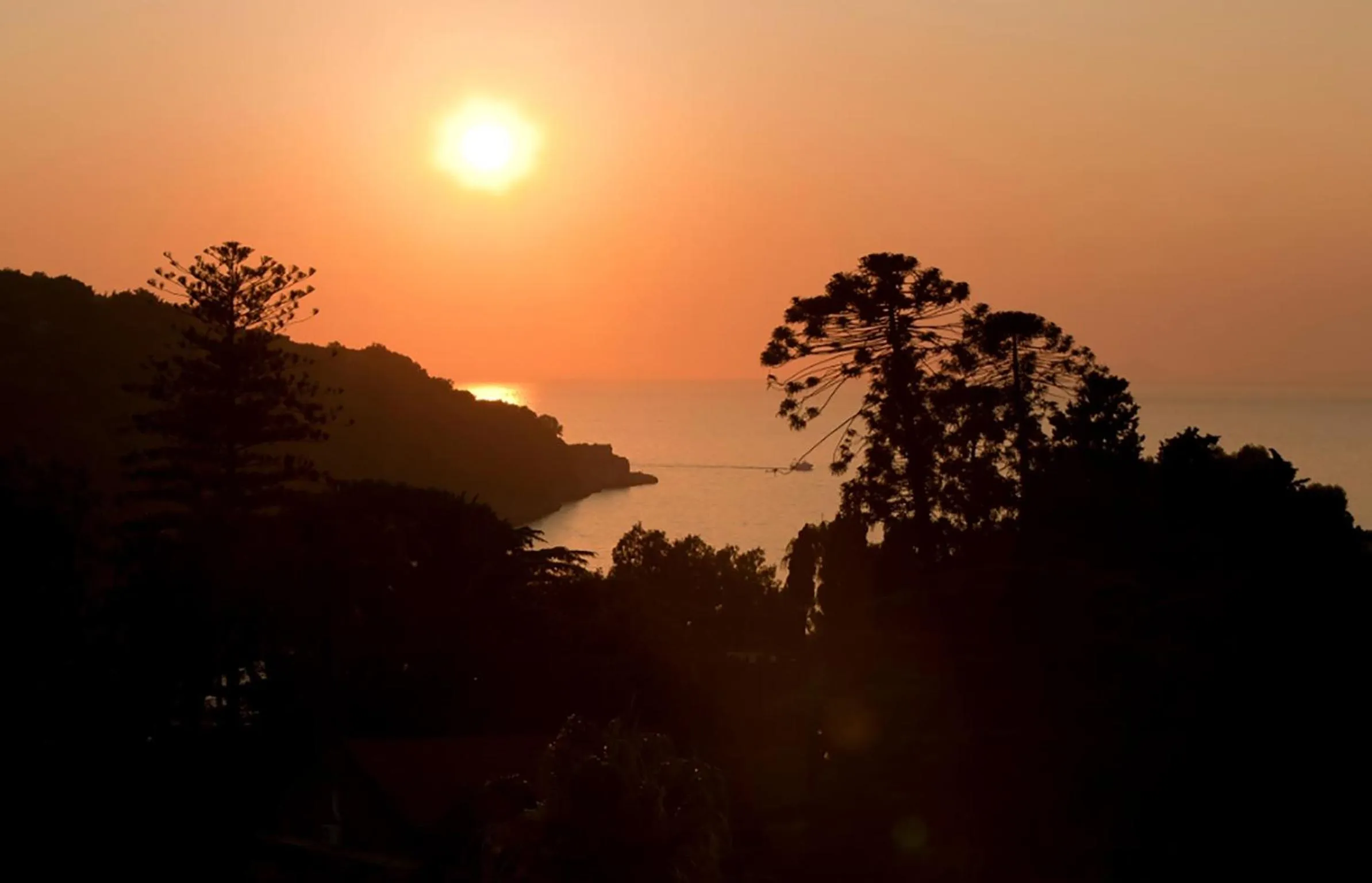 Natural landscape in Boutique Hotel Regina