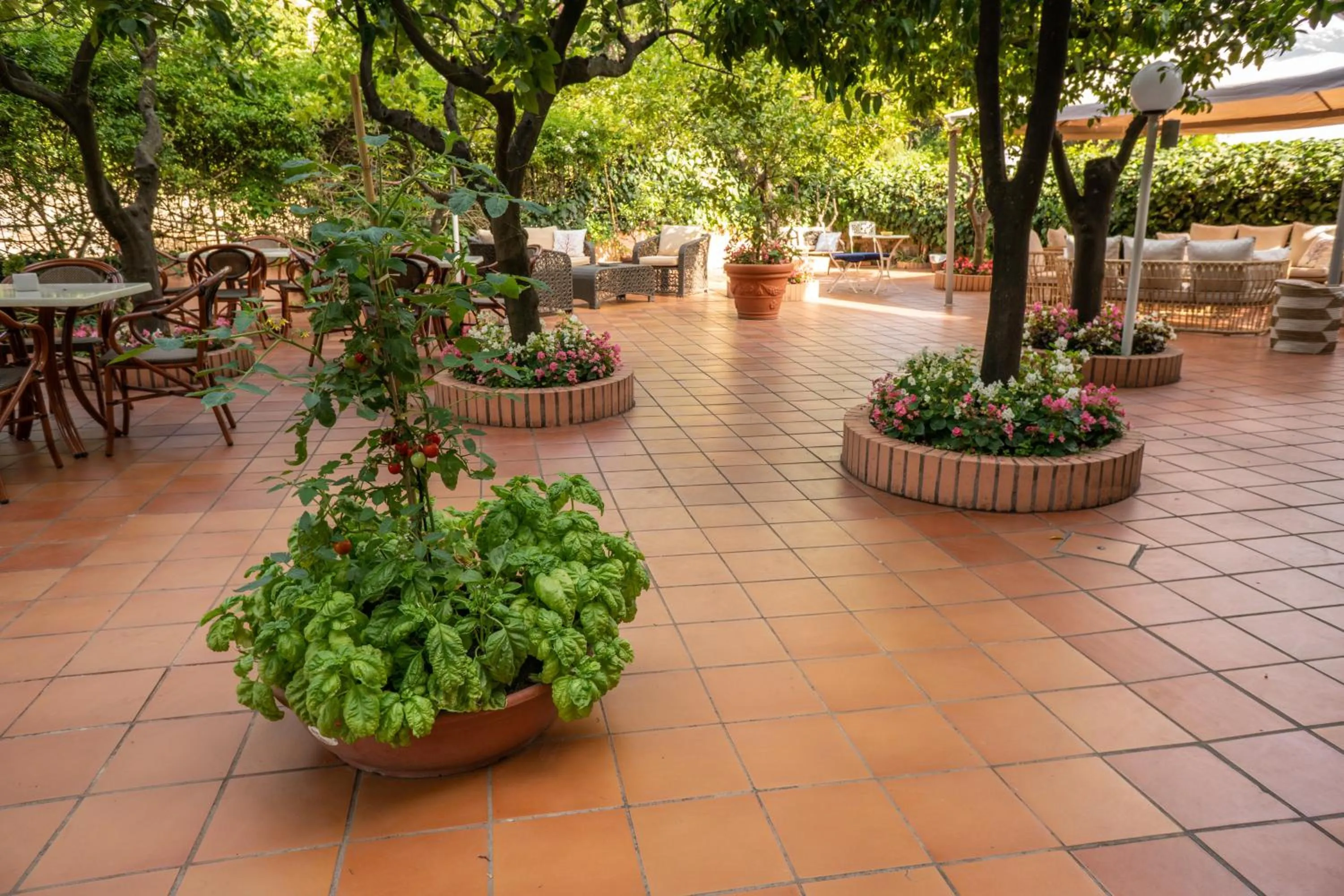 Patio in Boutique Hotel Regina