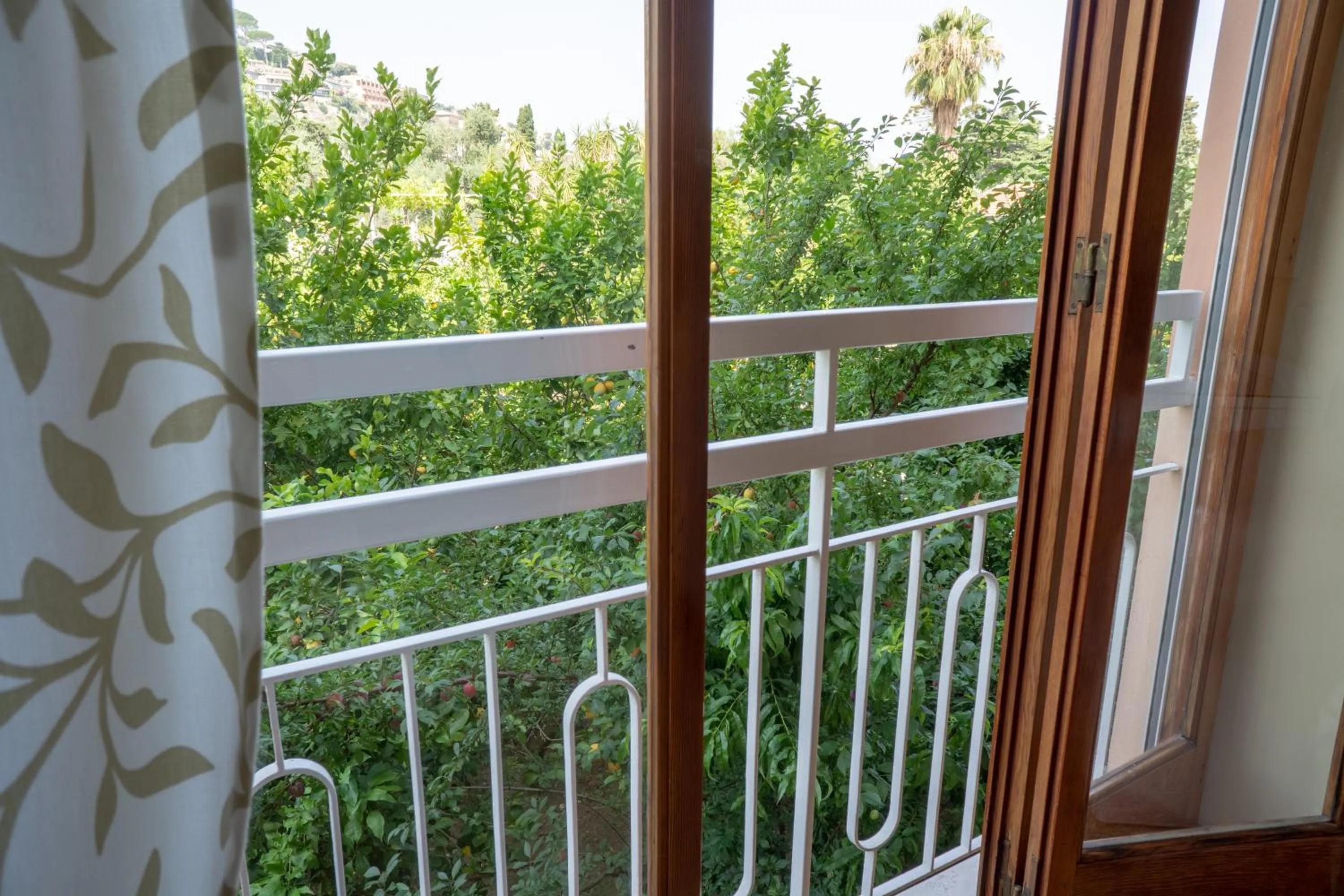 Garden view in Boutique Hotel Regina