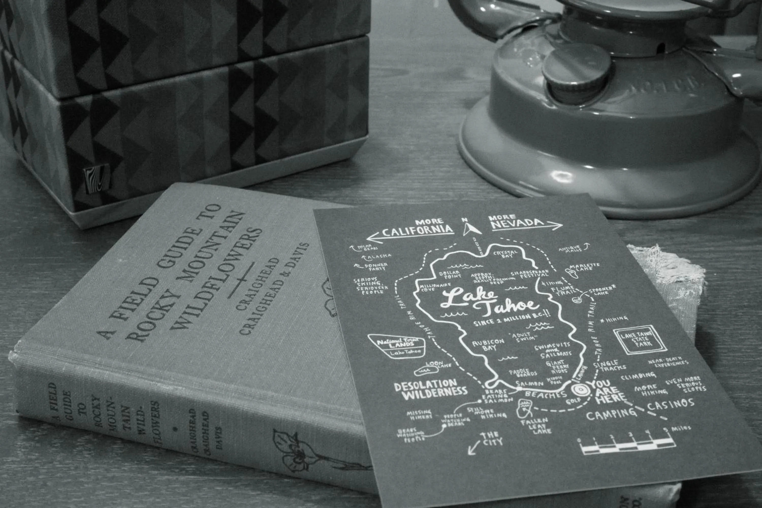 Decorative detail in Basecamp Tahoe City