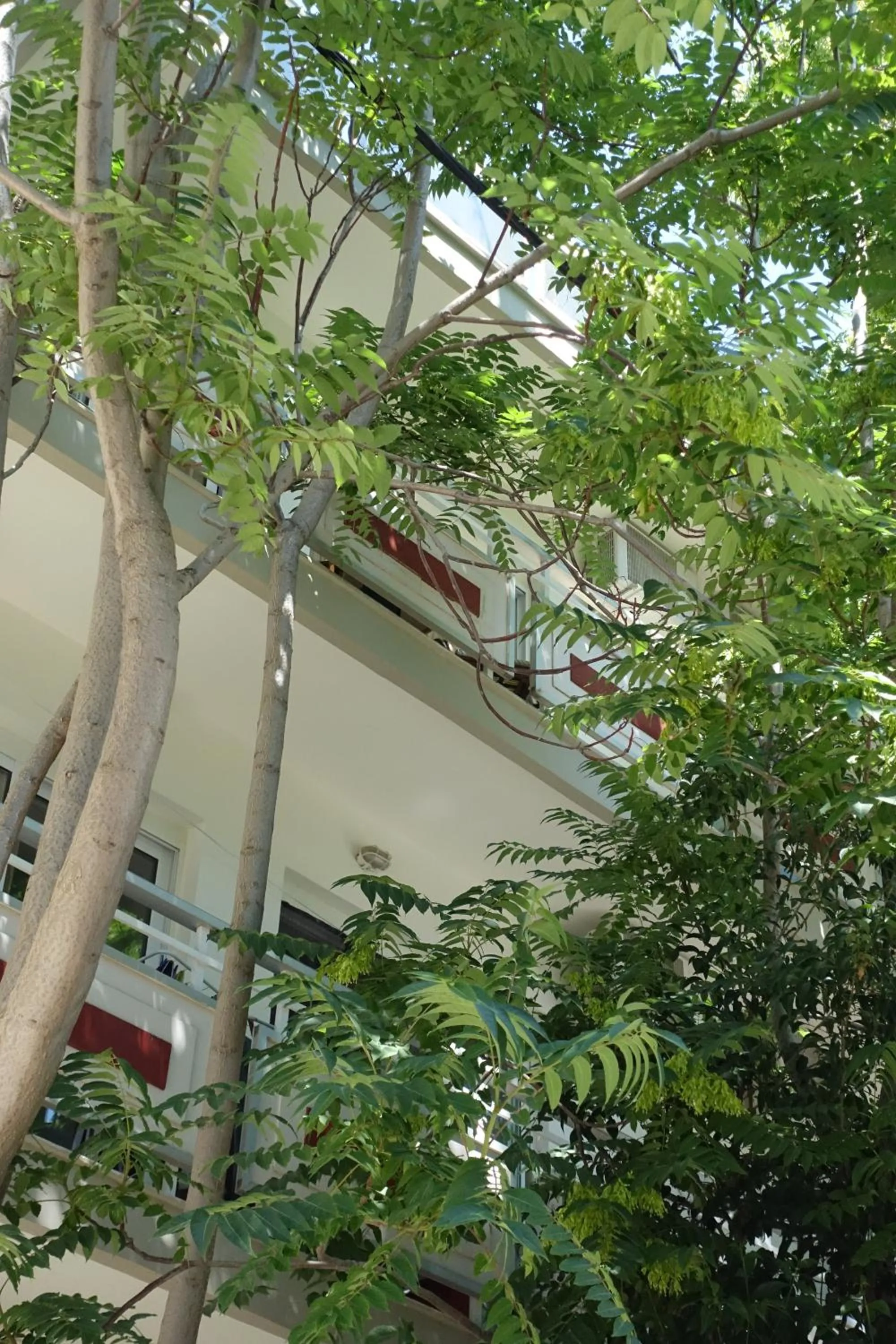 Day in Bristol Apartments