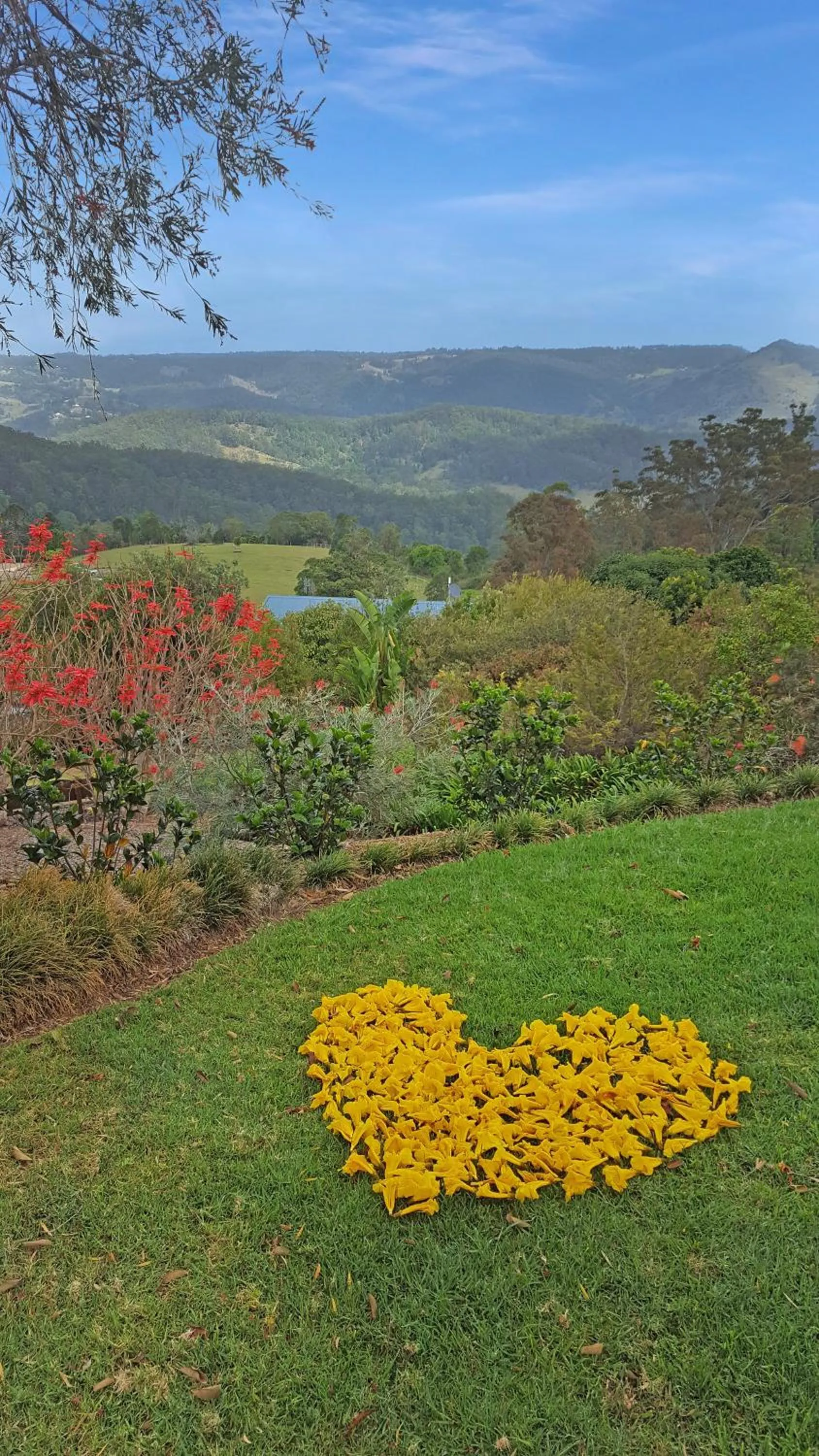 On site in Blue Summit Cottages