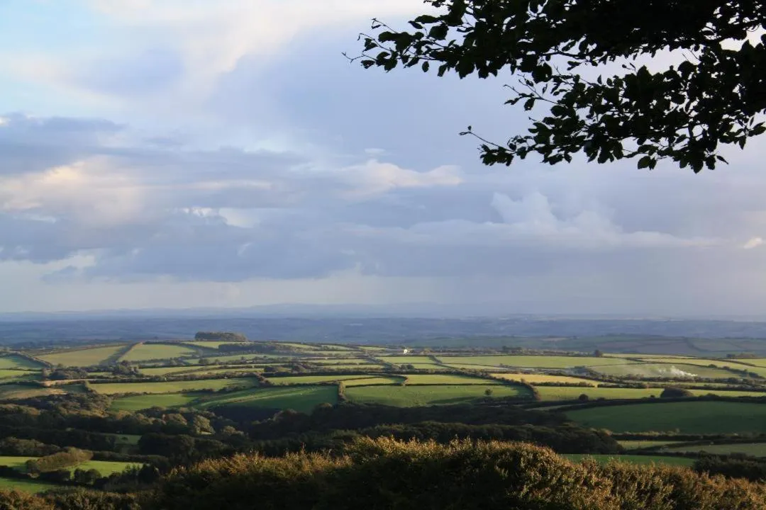 Natural landscape in Chancery House