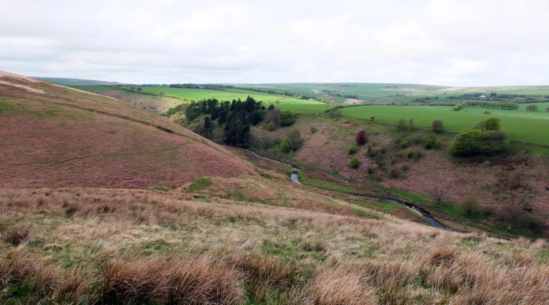 Natural landscape in Chancery House