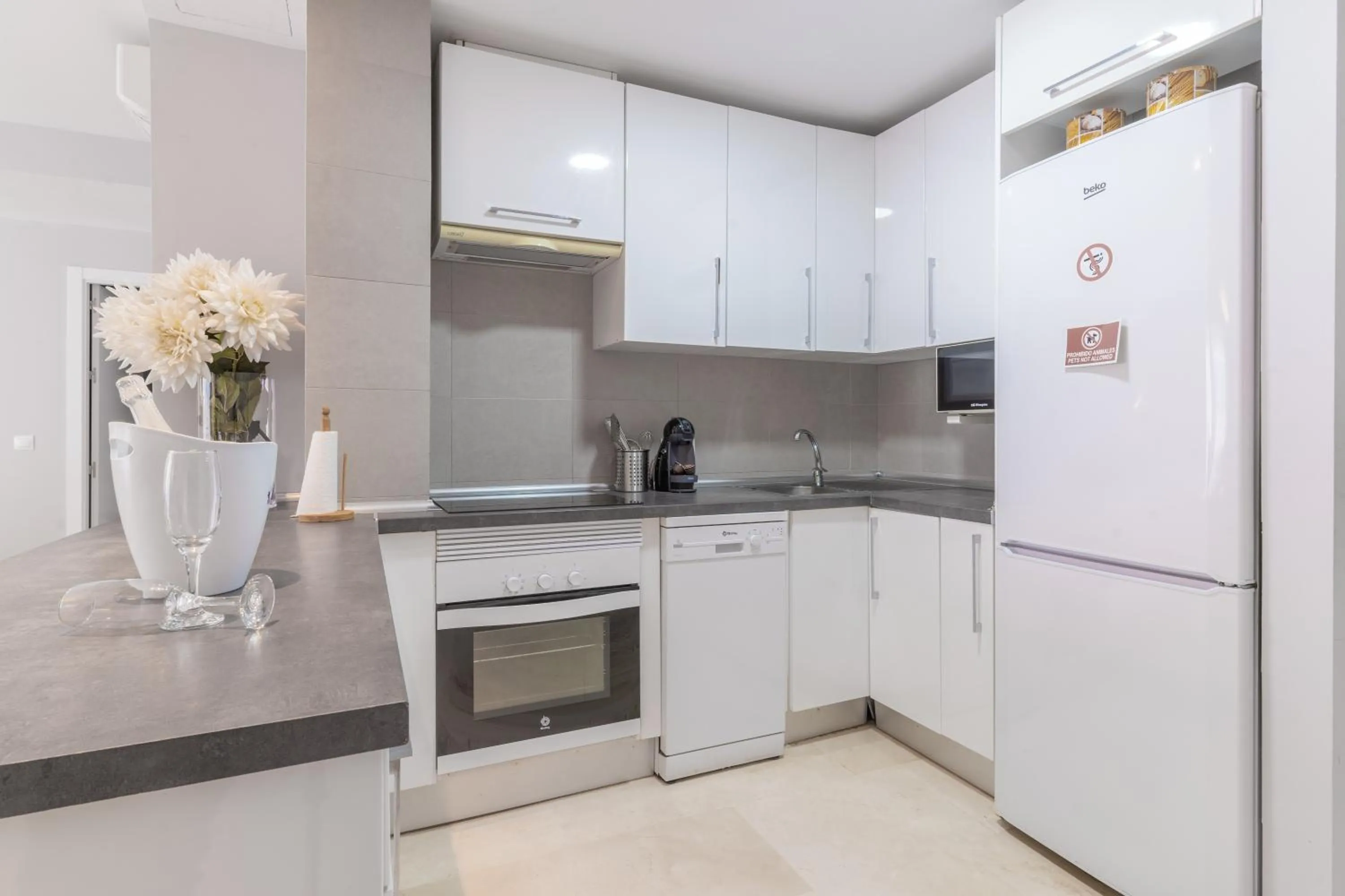 Kitchen or kitchenette in Apartamentos Castillo by Sur Suites