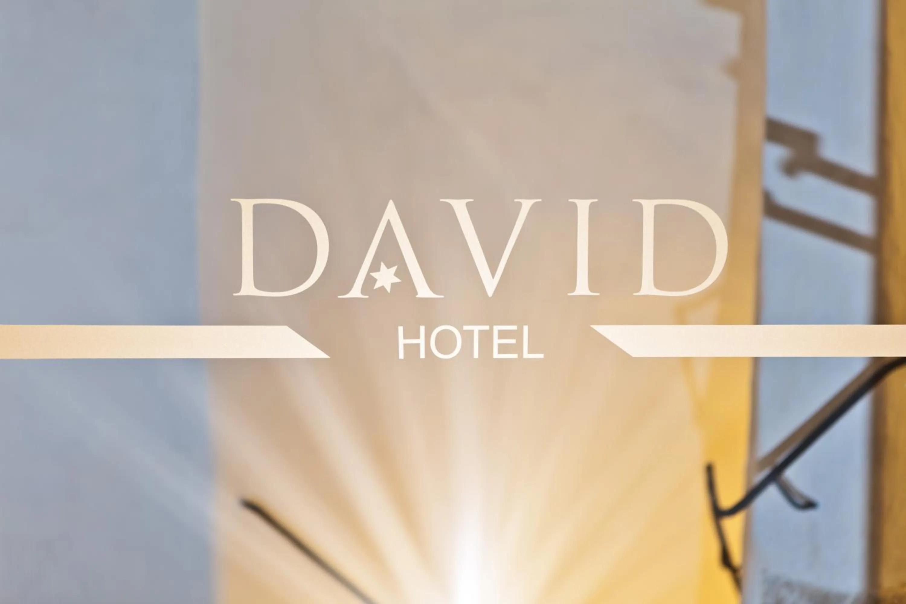 Property logo or sign in Hotel David an der Donau