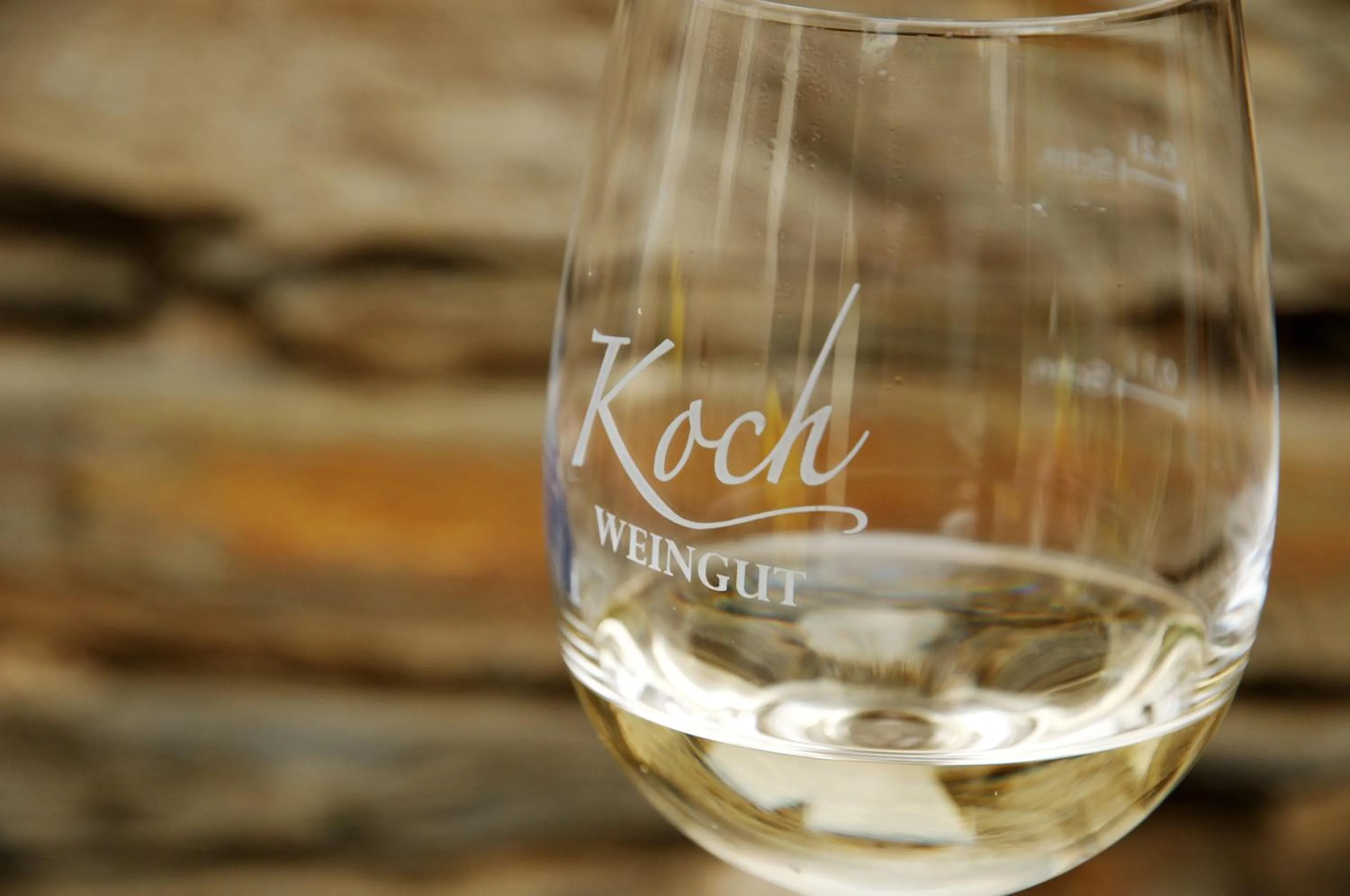 Moselurlaub im Ferienweinhaus Koch