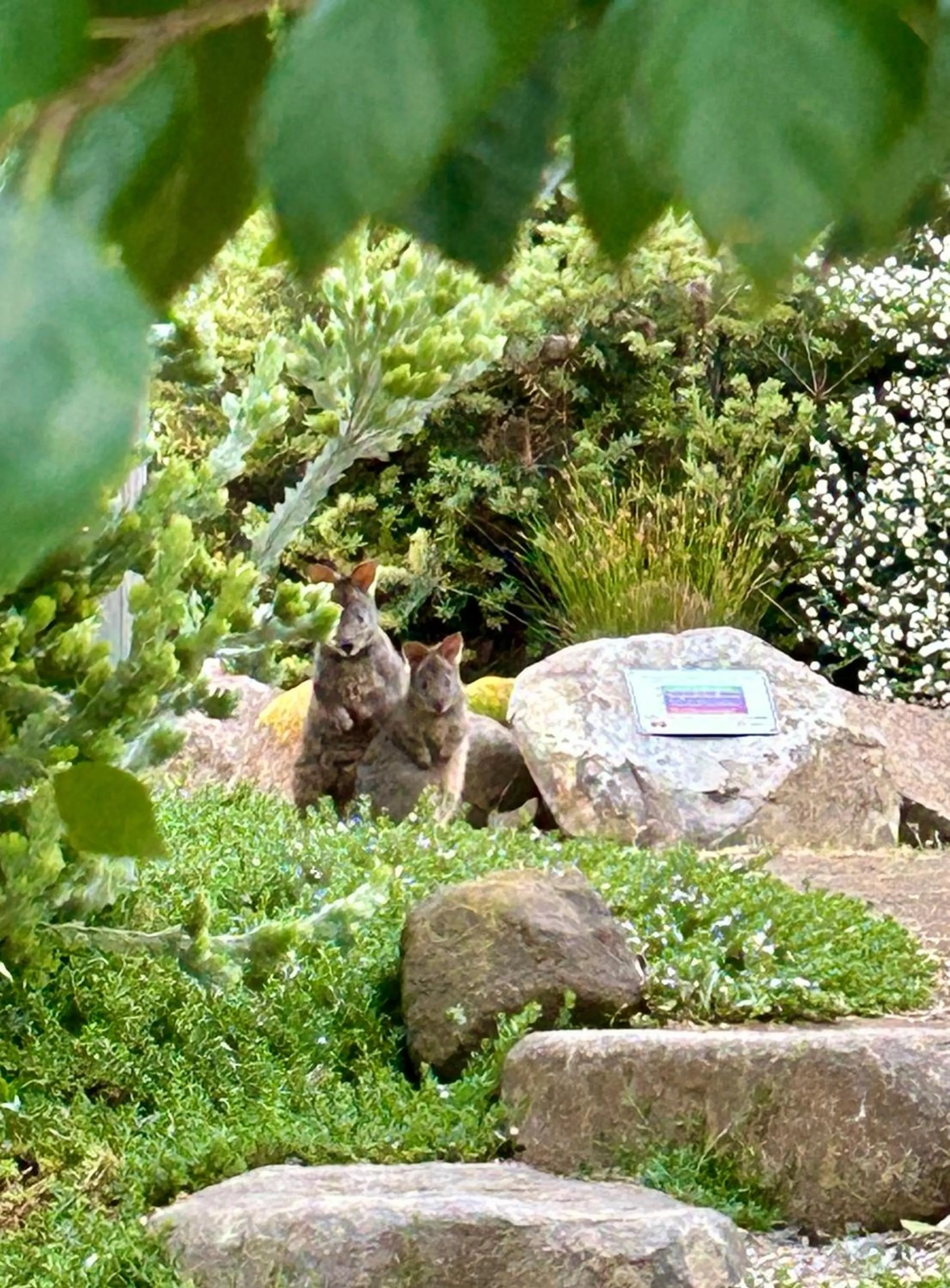 Natural landscape in Hobart Hideaway Pods