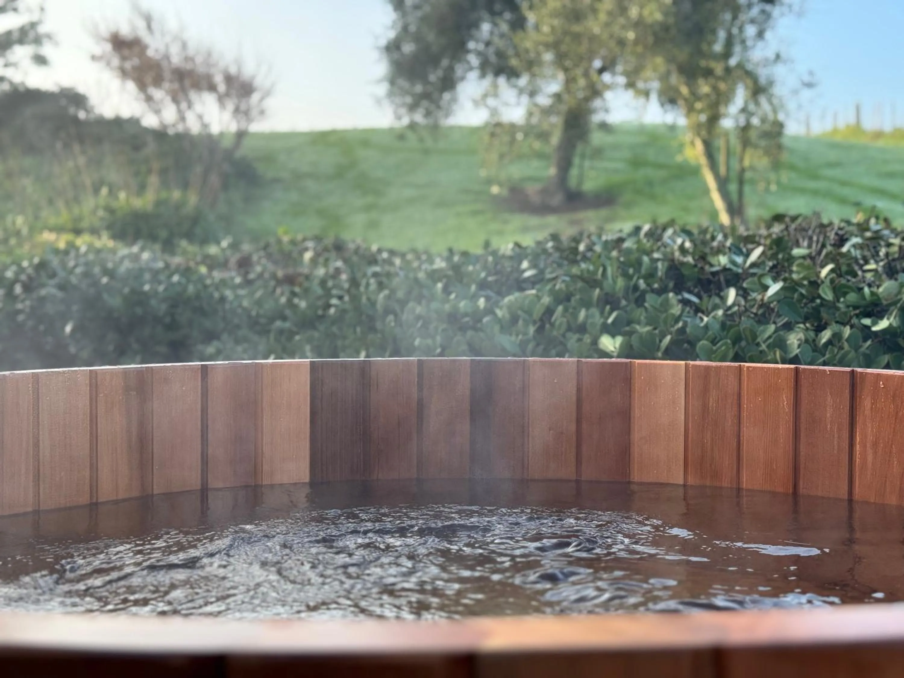 Vineyard Cottages - Kumeu