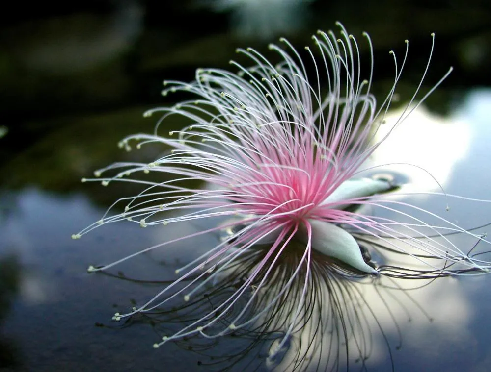Natural landscape in Villa Unarizaki