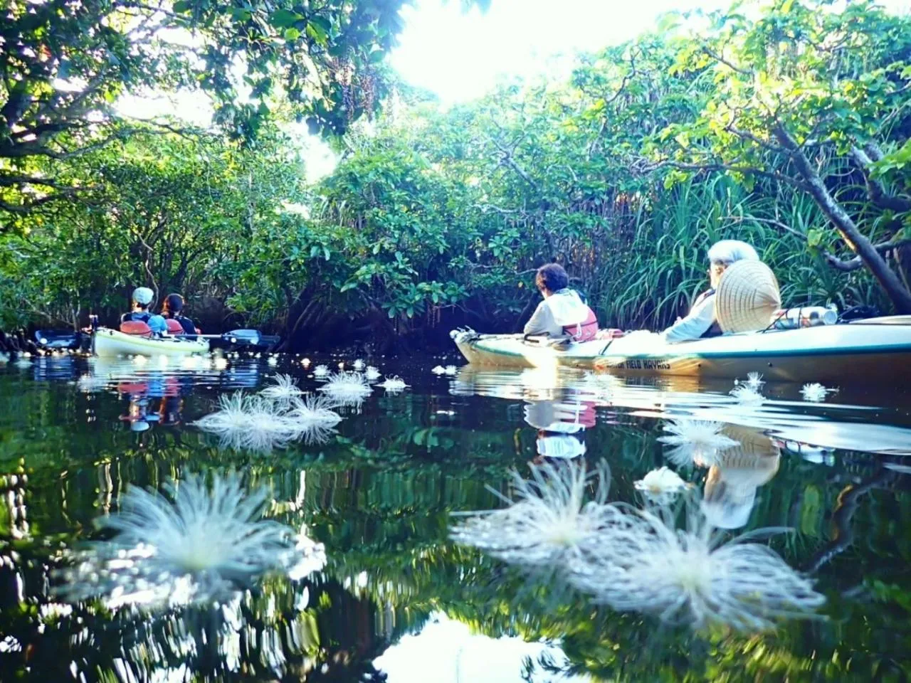 Activities in Villa Unarizaki