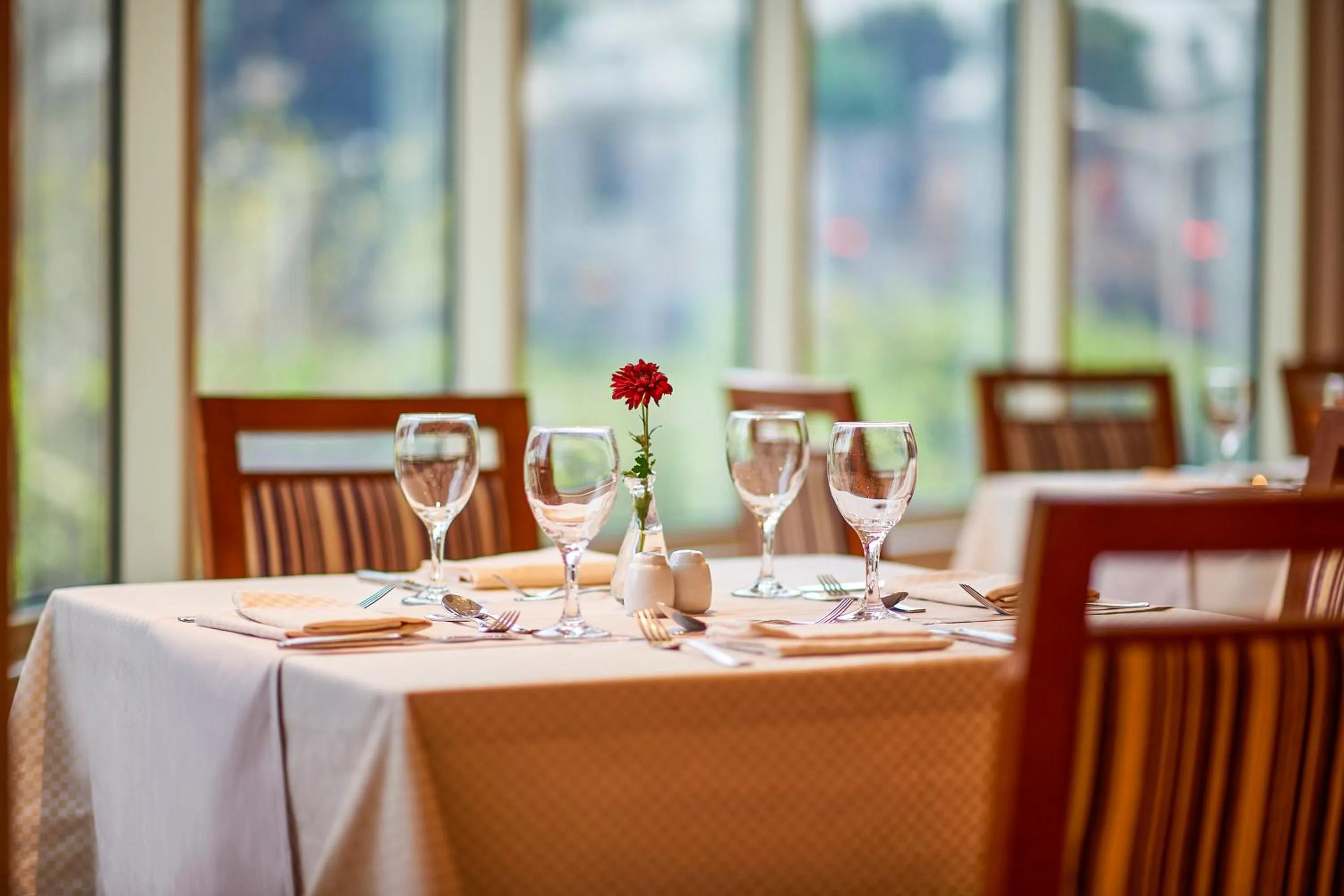 Buffet breakfast in Safir Hotel Cairo