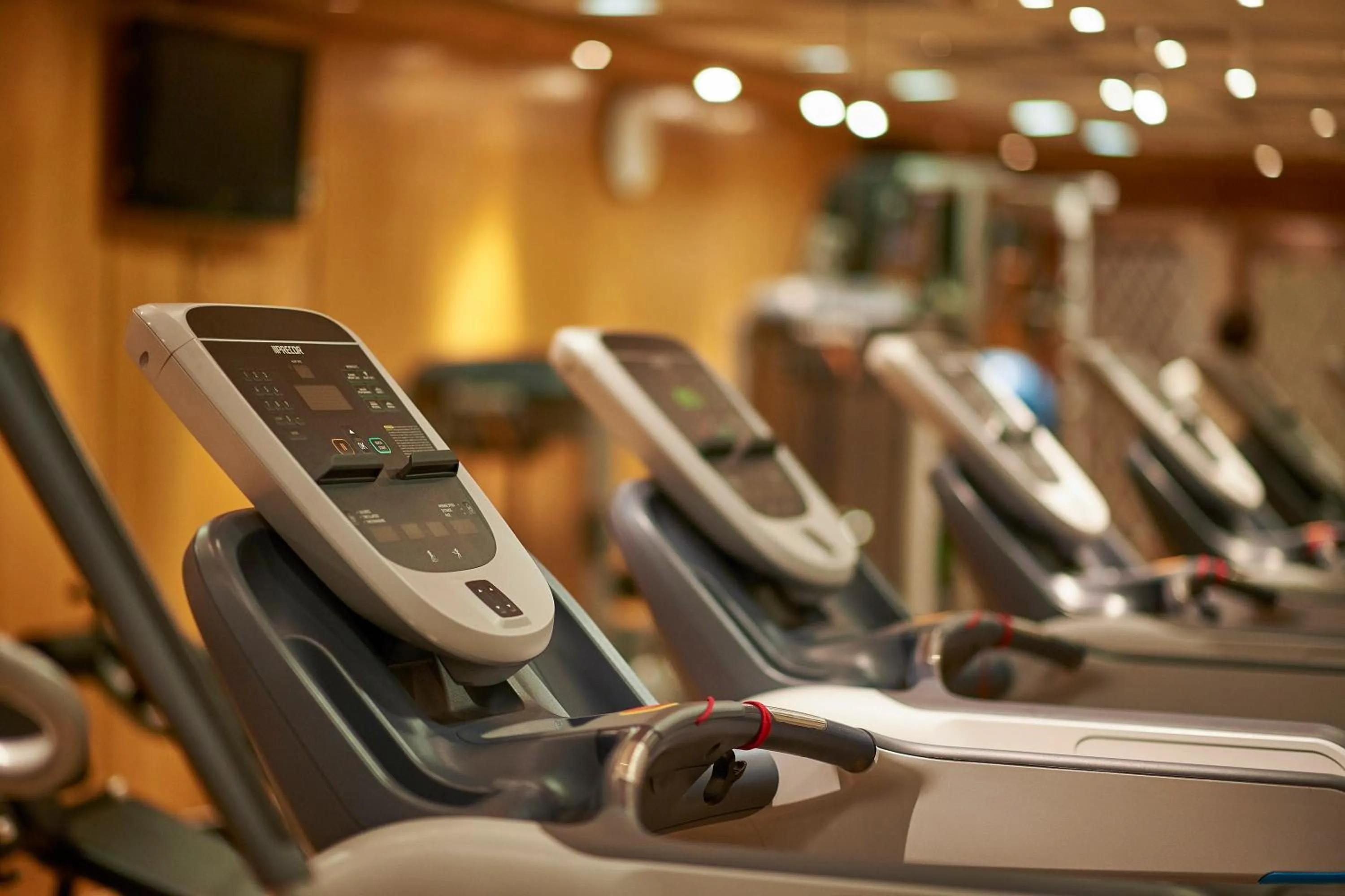 Fitness centre/facilities in Safir Hotel Cairo