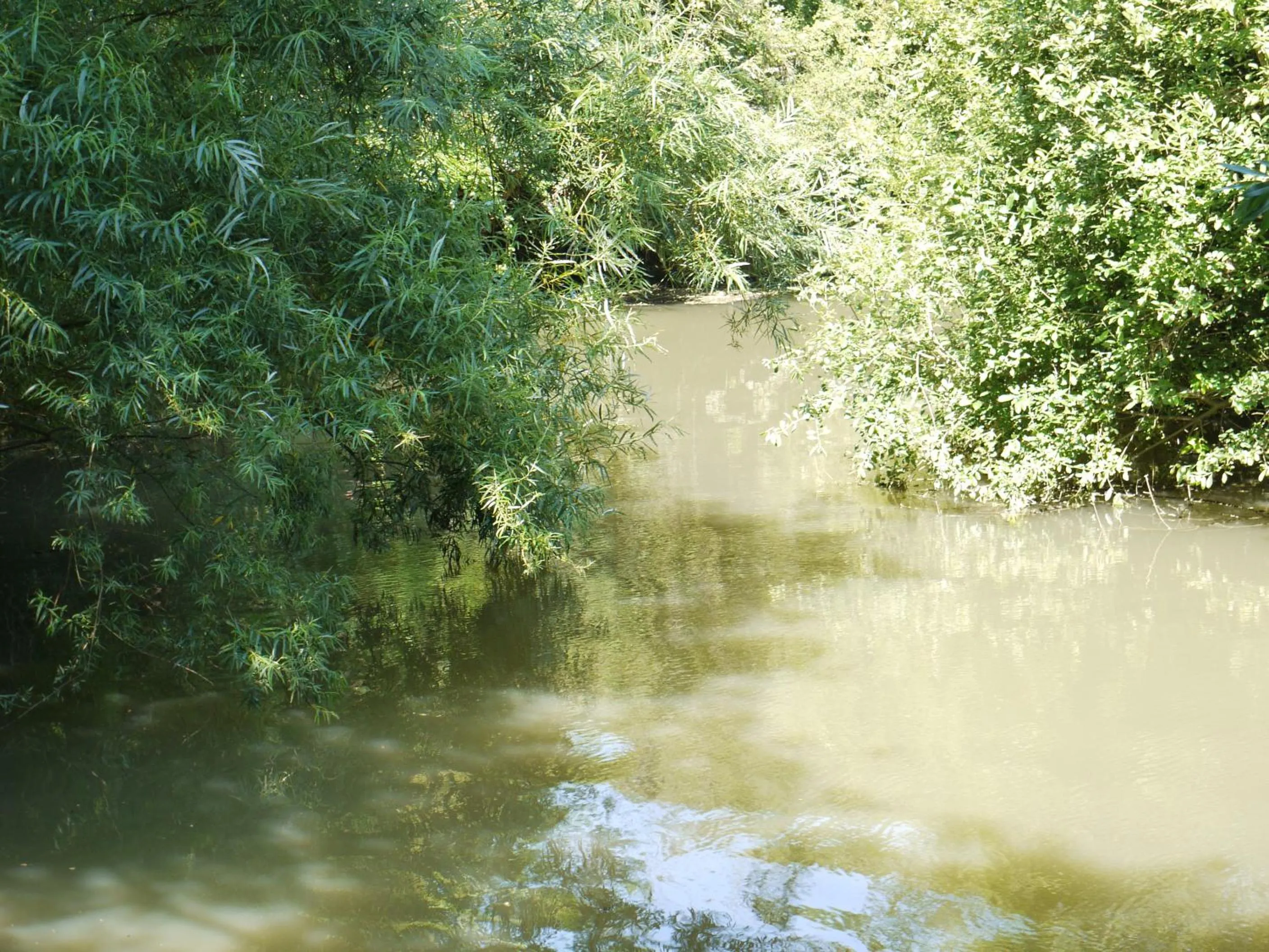 Area and facilities in The New Inn Hotel