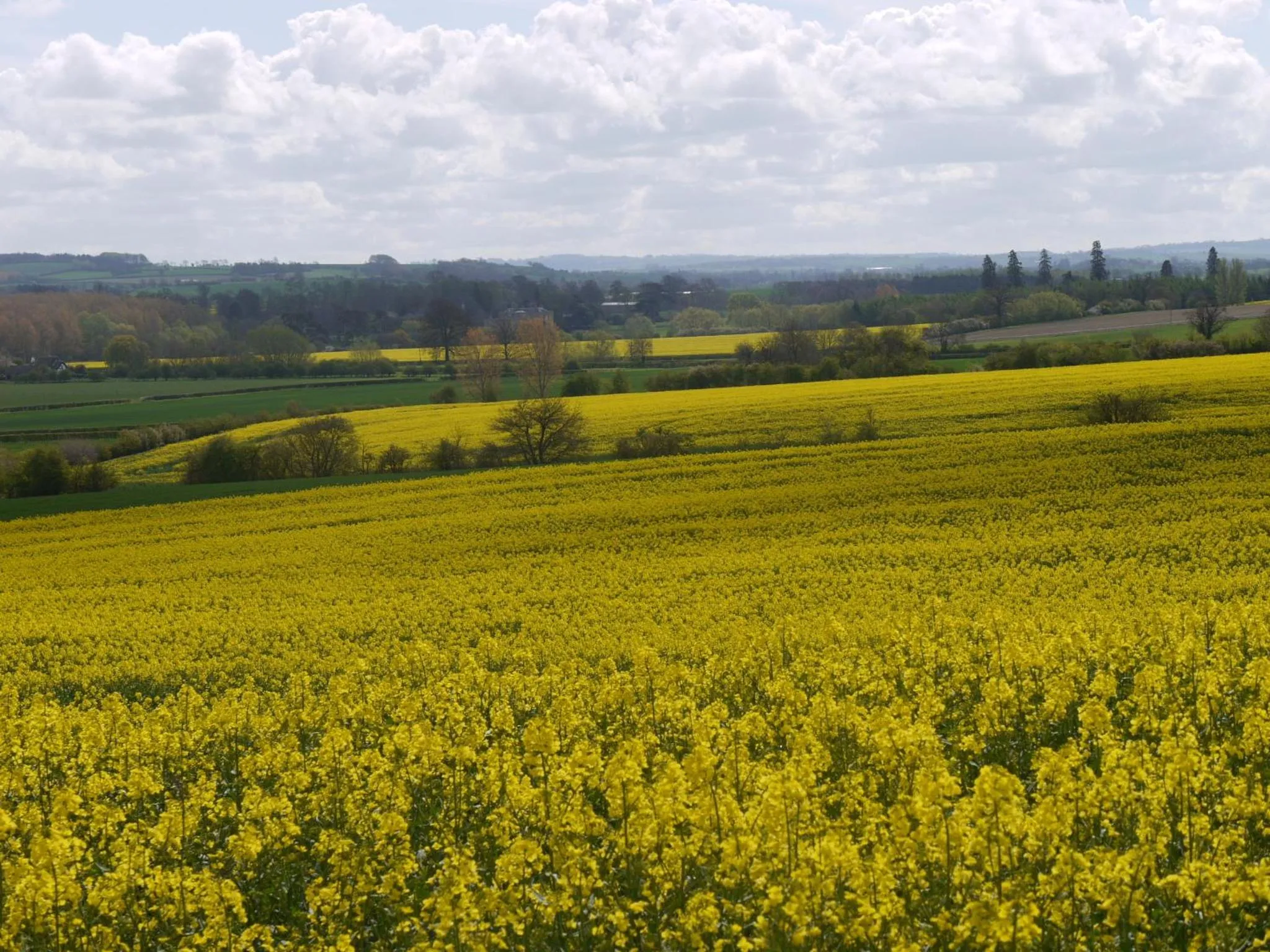 Area and facilities in The New Inn Hotel