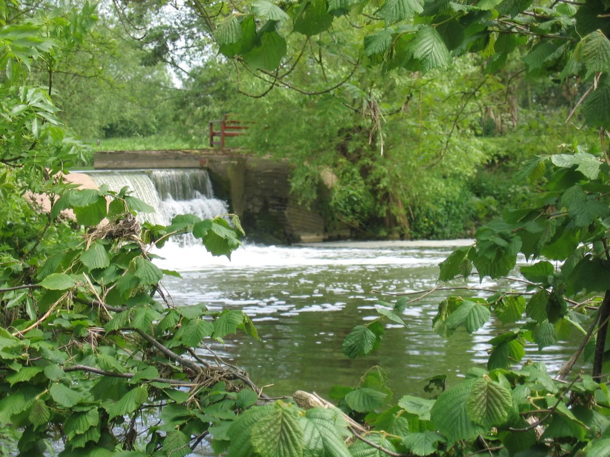 Area and facilities in The New Inn Hotel