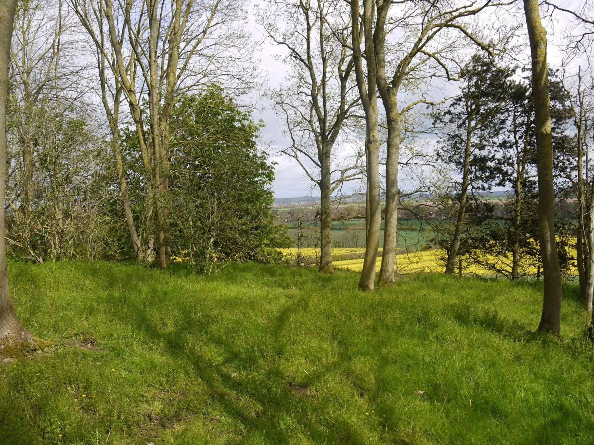 Area and facilities in The New Inn Hotel