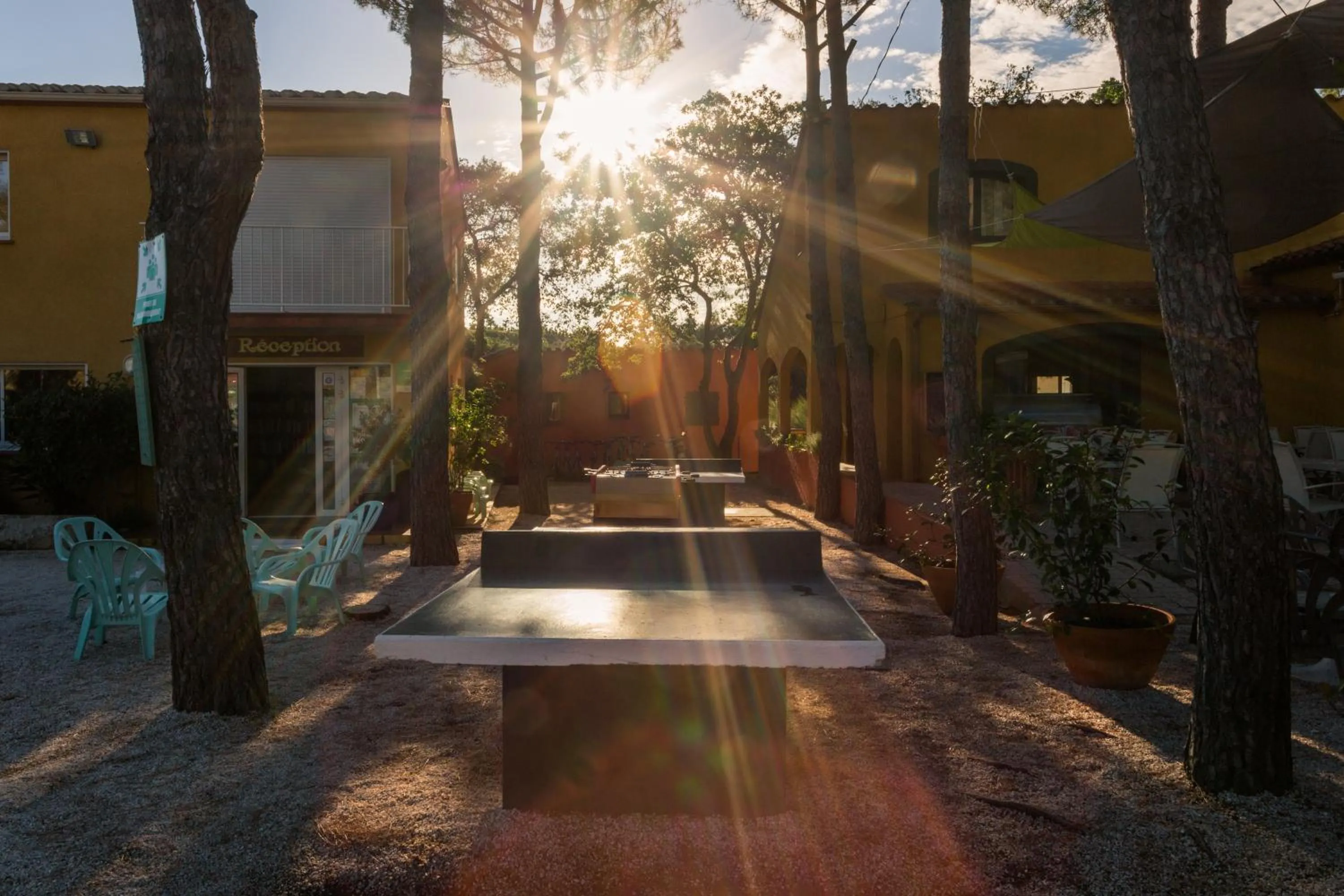 Domaine Des Mimosas