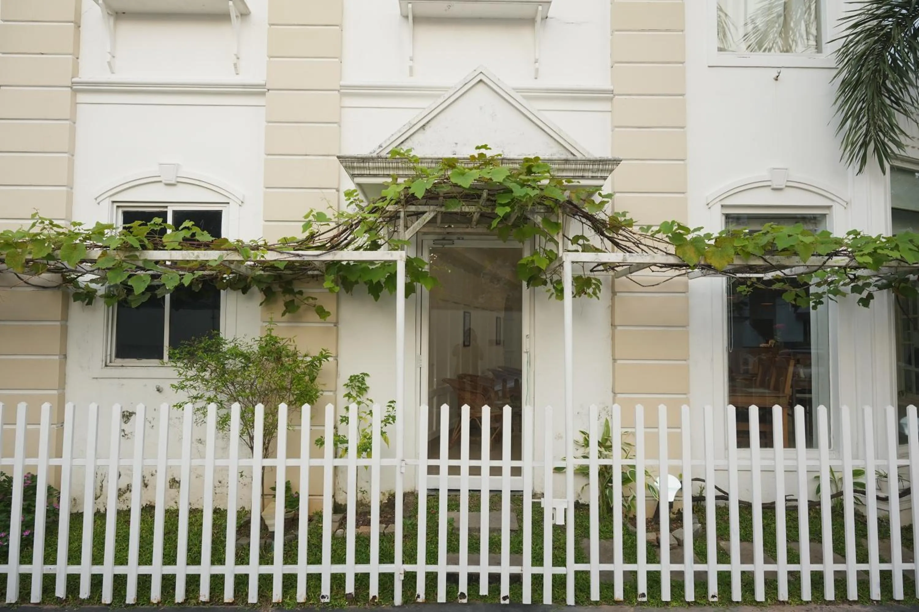 Daffodils Spice Court