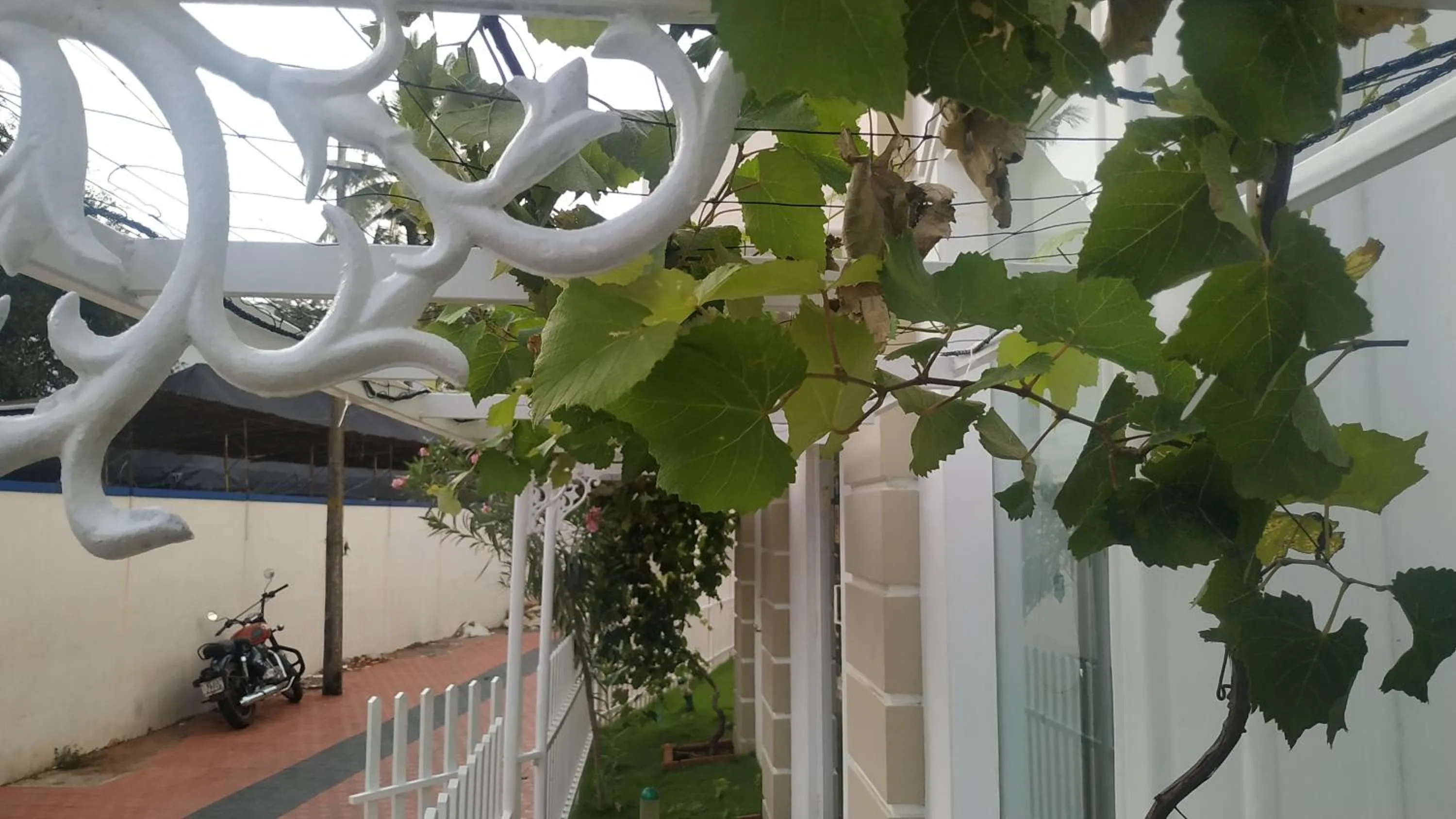 Property building in Daffodils Spice Court