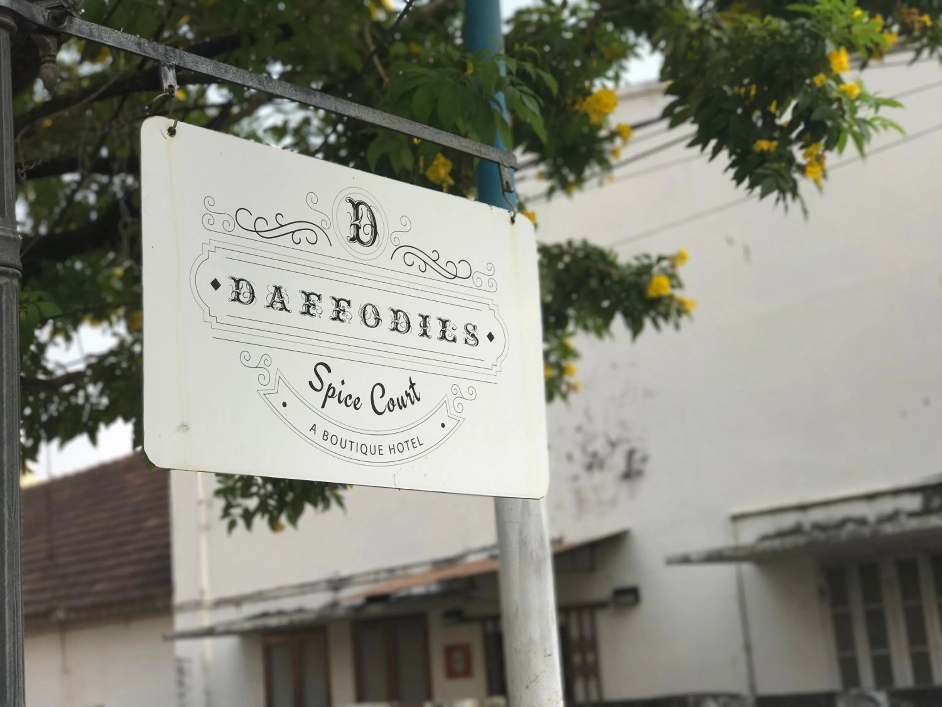 Property building in Daffodils Spice Court