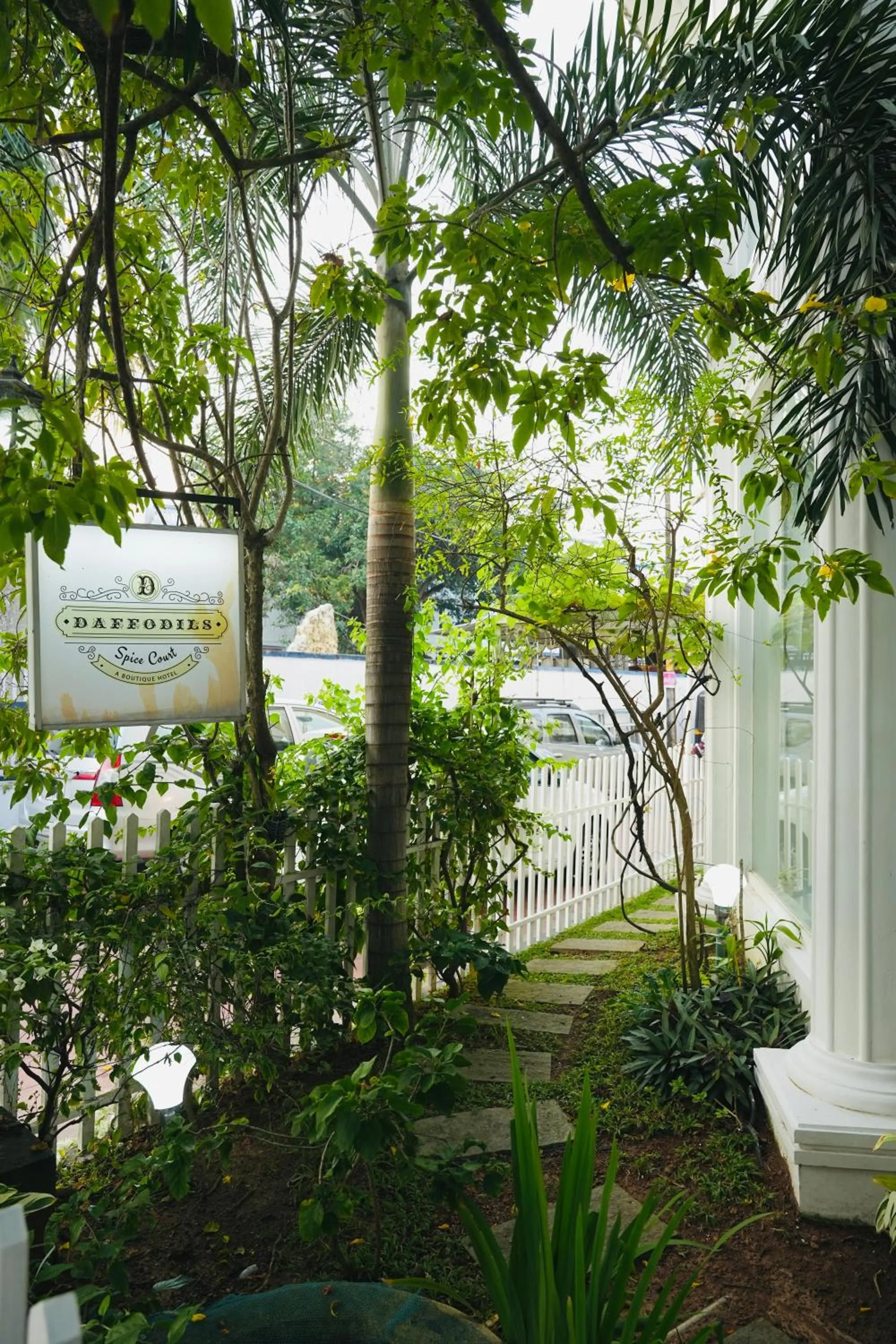 Daffodils Spice Court