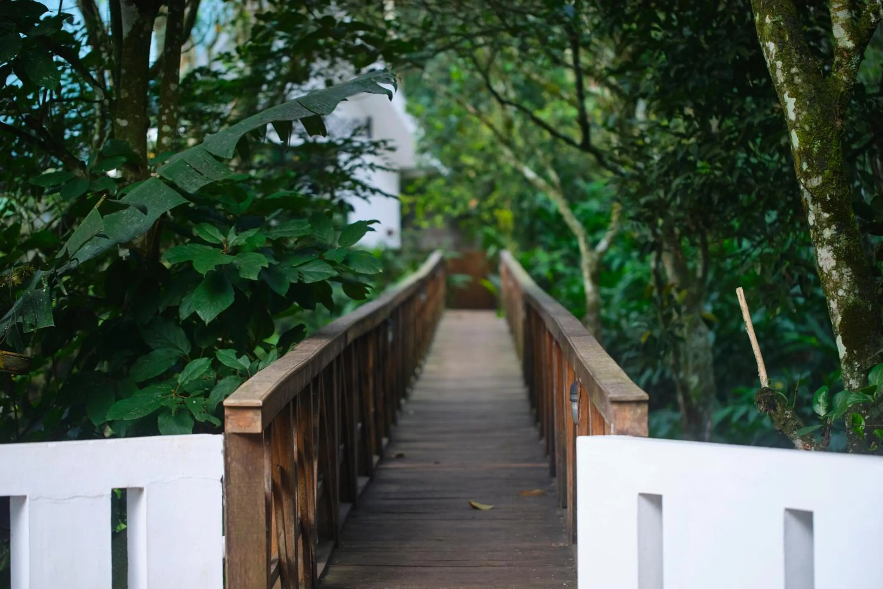 Day in Reen Resorts Aanavilasam Plantation Thekkady